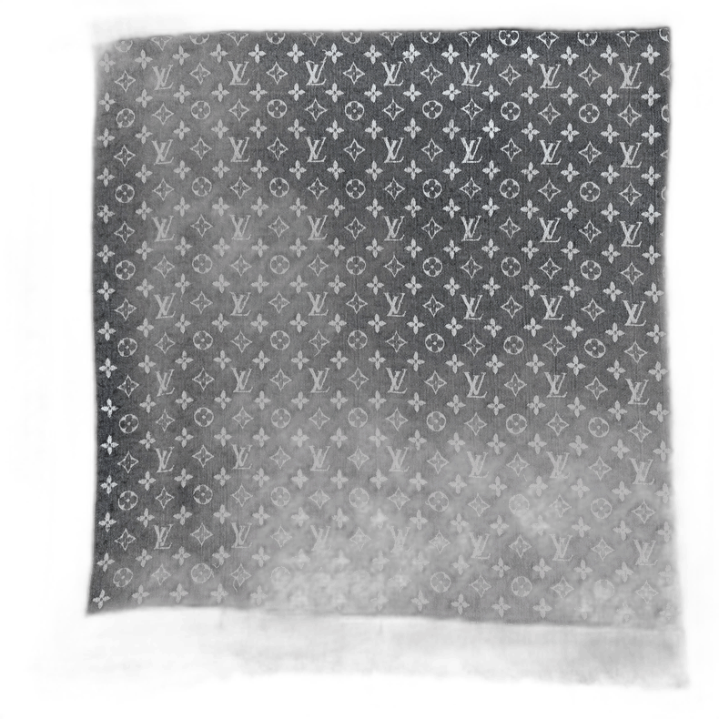 Louis Vuitton Louis Vuitton Louis Vuitton DoubleSided Wool Silk Shawl-25 Size ONE SIZE - 1 Thumbnail