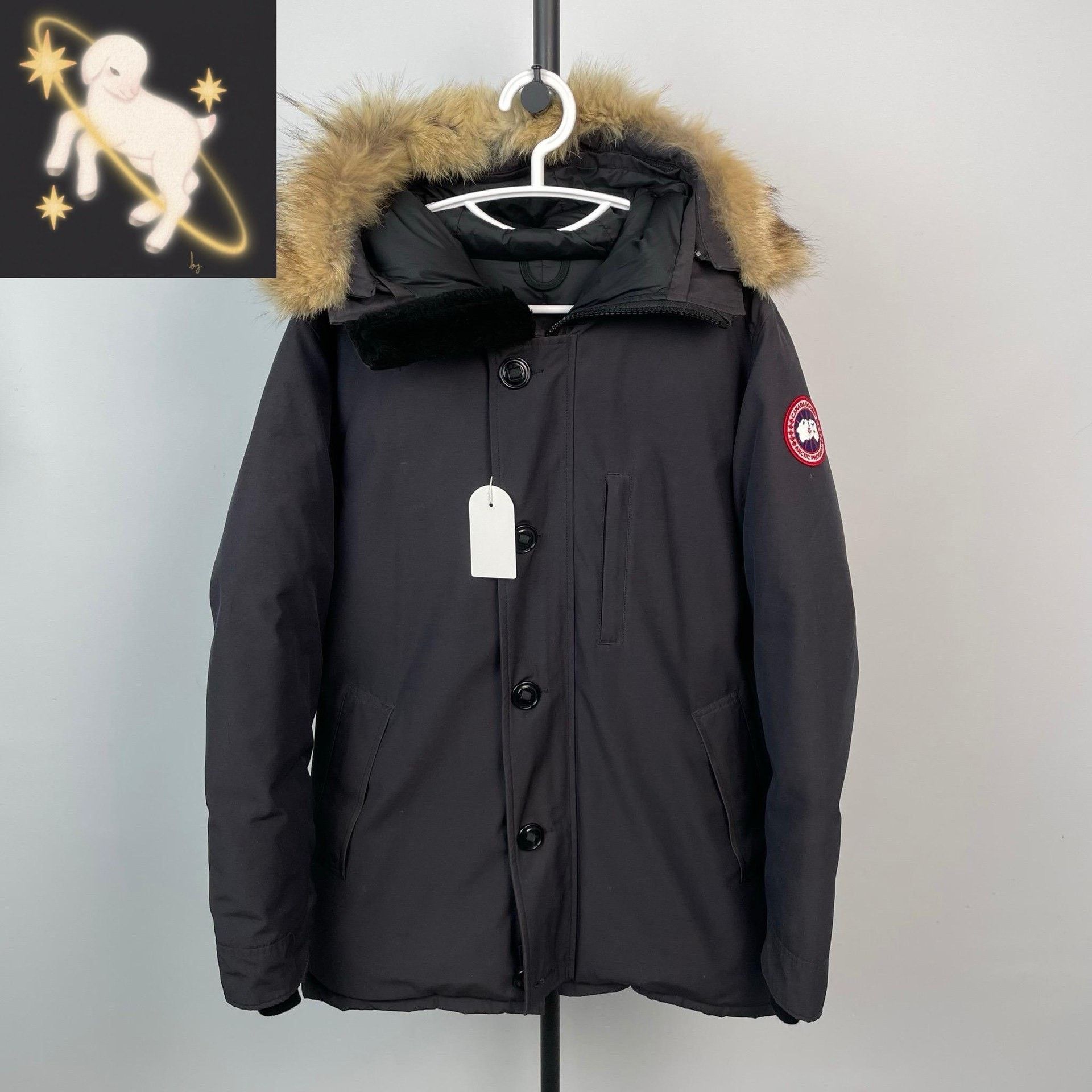 Canada Goose Canada Goose Down Black Heavy Coat L Men Size US L / EU 52-54 / 3 - 1 Thumbnail