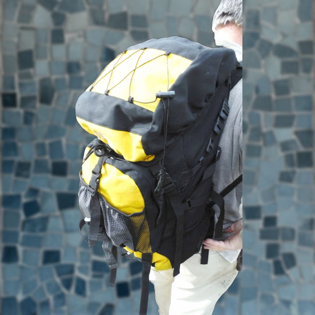 The North Face The North Face Wise Guy Yellow / Black Backpack | Grailed