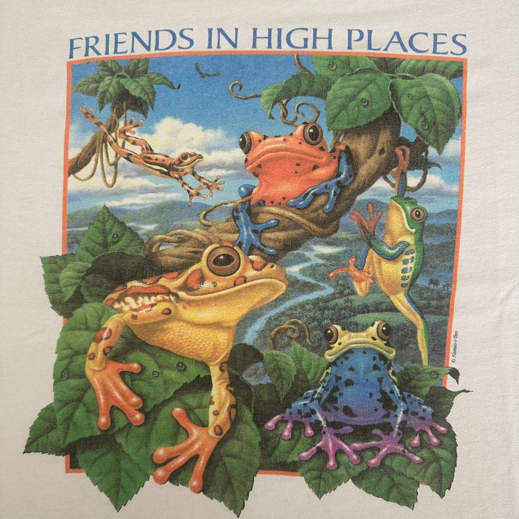 Vintage Vintage 90s Tree Frog T-Shirt Rainforest Wildlife Nature Tee Size US XL / EU 56 / 4 - 2 Thumbnail