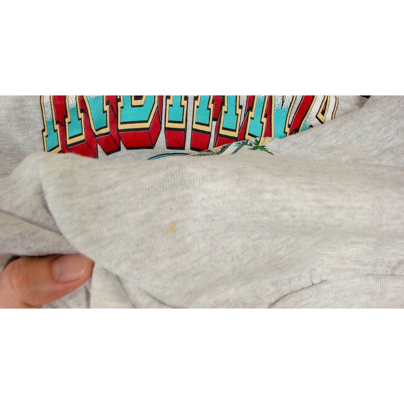 Vintage Vintage 90s Oversized Indiana Farm Spellout Crewneck Size XL / US 12-14 / IT 48-50 - 10 Thumbnail