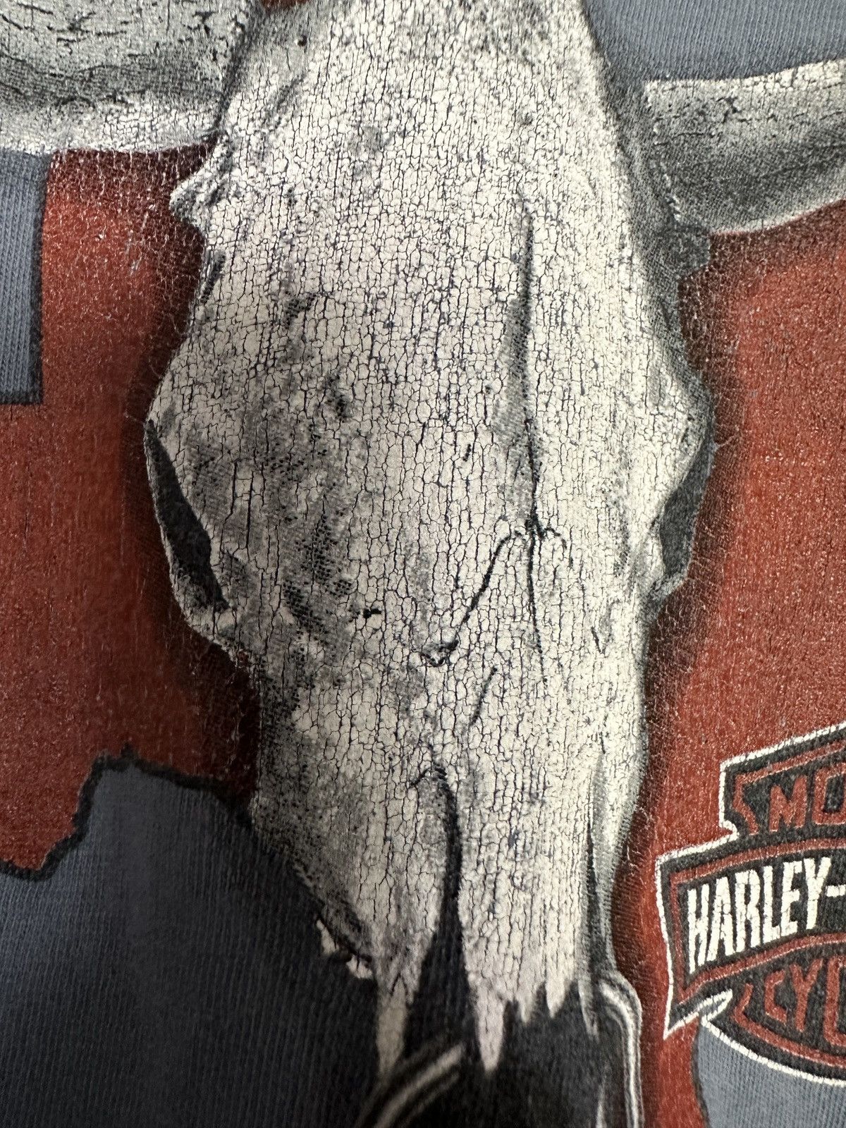 Harley Davidson Vintage Y2K Harley Davidson Texas Graphic Tee Size US XXL / EU 58 / 5 - 5 Thumbnail