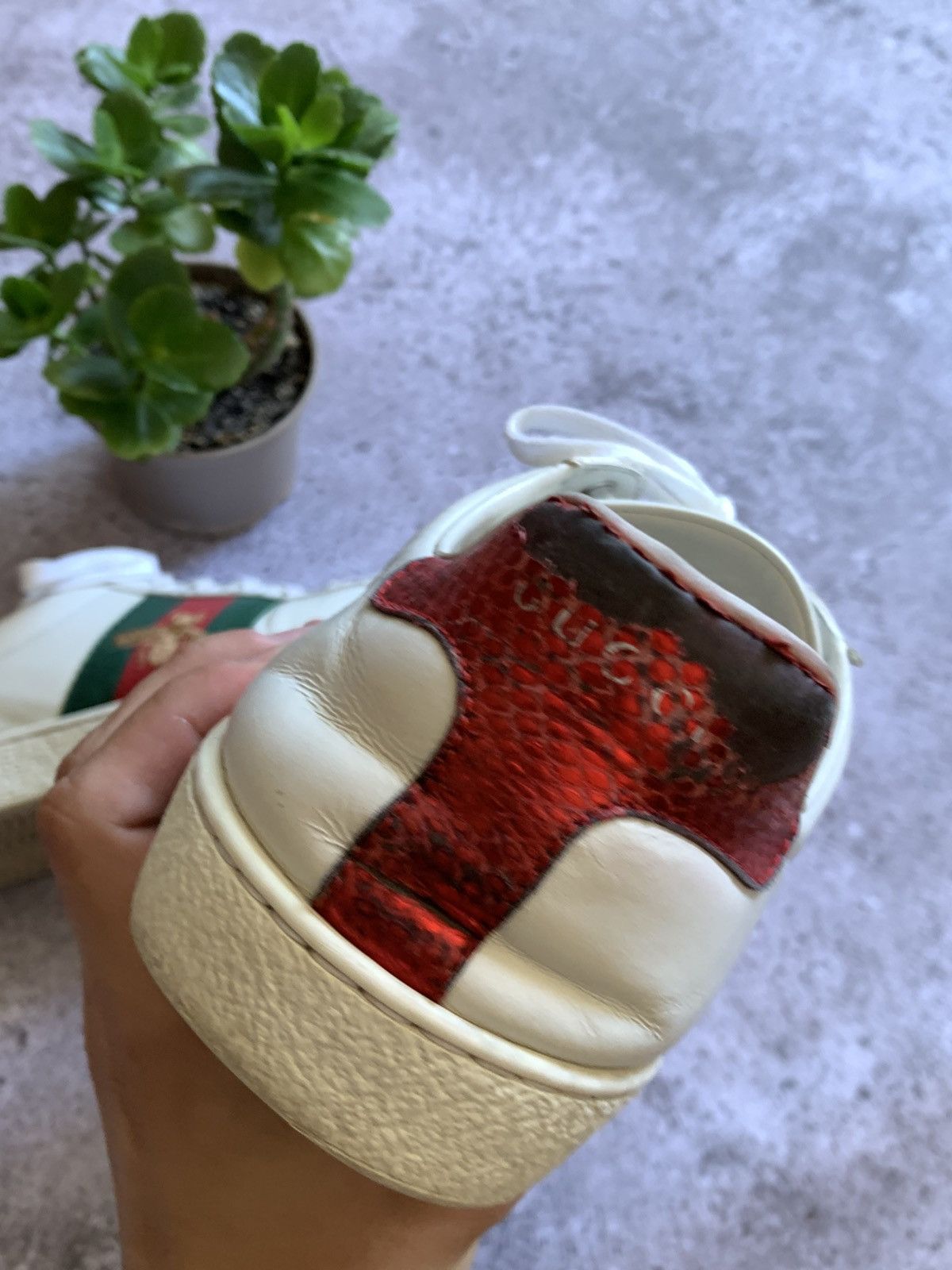Gucci 🔥GUCCI ACE SNEAKERS Size US 9 / EU 42 - 18 Thumbnail