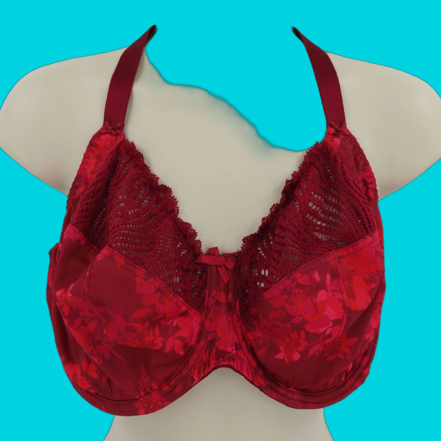 Vintage Panache 40F Arianna Underwire Red Floral Bra User: Panache 40F Arianna Underwire Red Floral Bra Size ONE SIZE - 1 Thumbnail