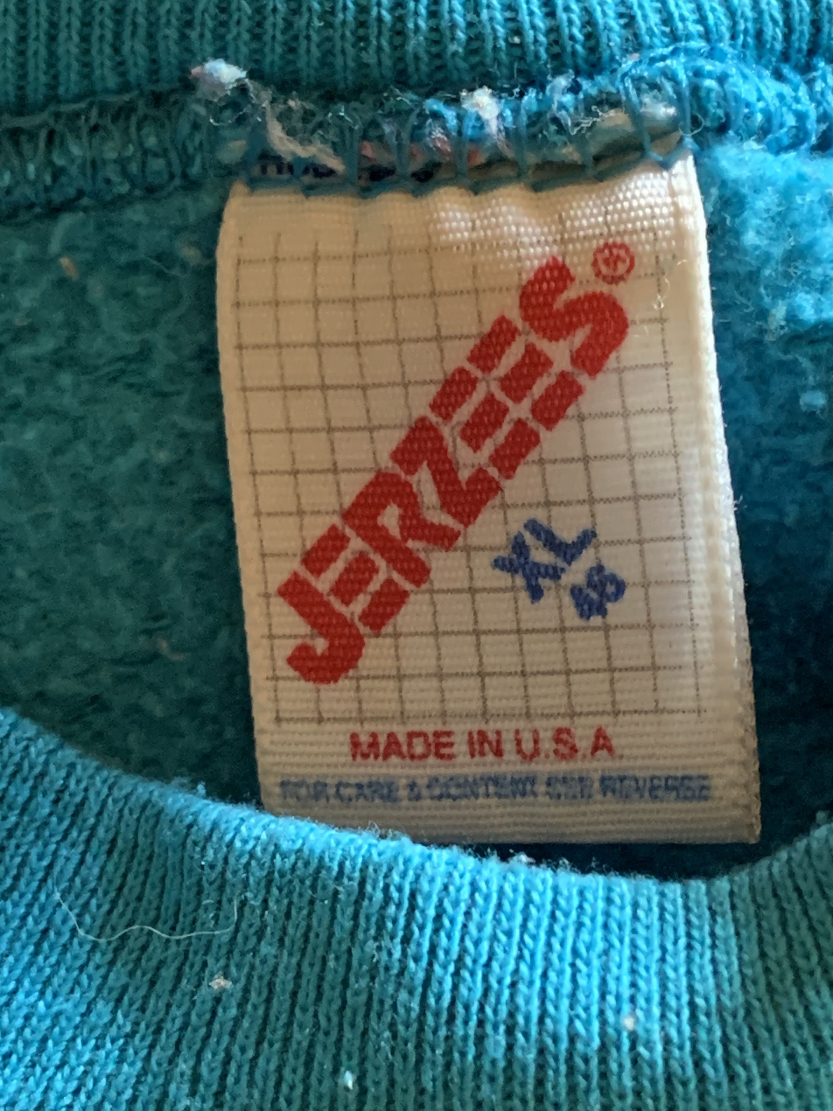 Jerzees Teal crewneck Print Children’s hospital Pennsylvania Size US XL / EU 56 / 4 - 6 Thumbnail