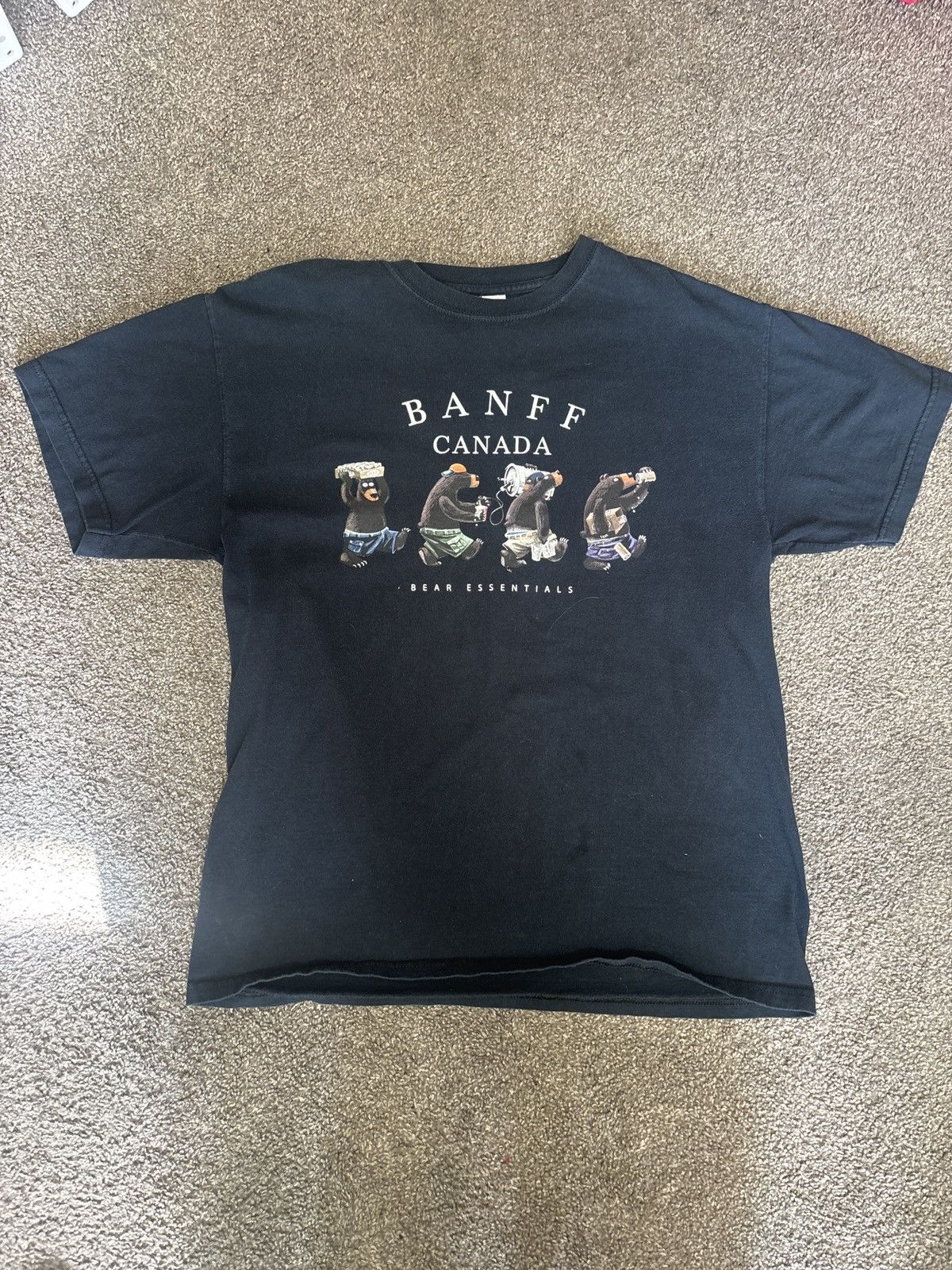 Gildan Vintage Banff Canda Bear Essentials Tee Size US L / EU 52-54 / 3 - 1 Thumbnail