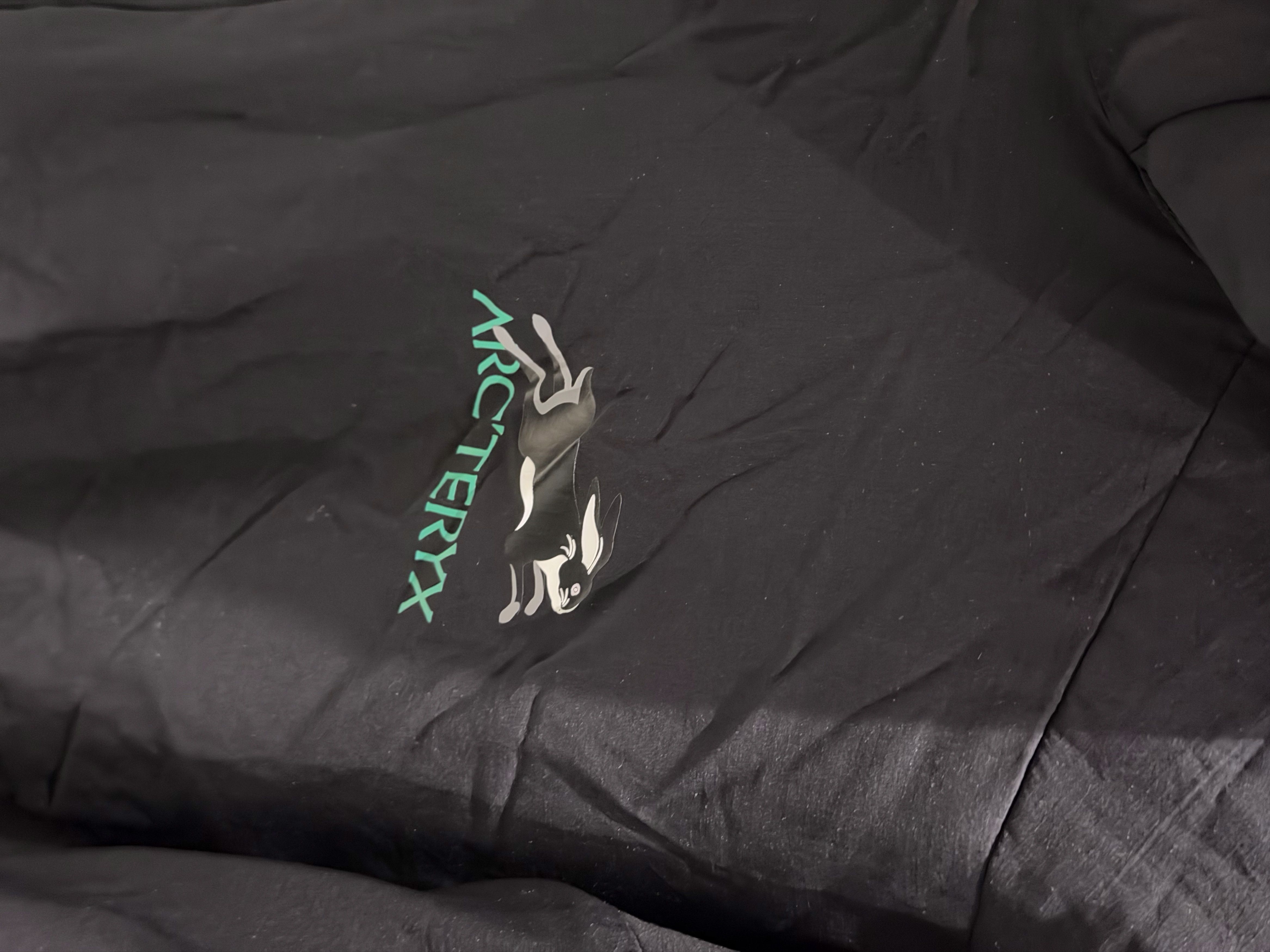 Arc'teryx Arc'teryx Atom LT - Year of the Rabbit Limited Edition Size US L / EU 52-54 / 3 - 3 Thumbnail