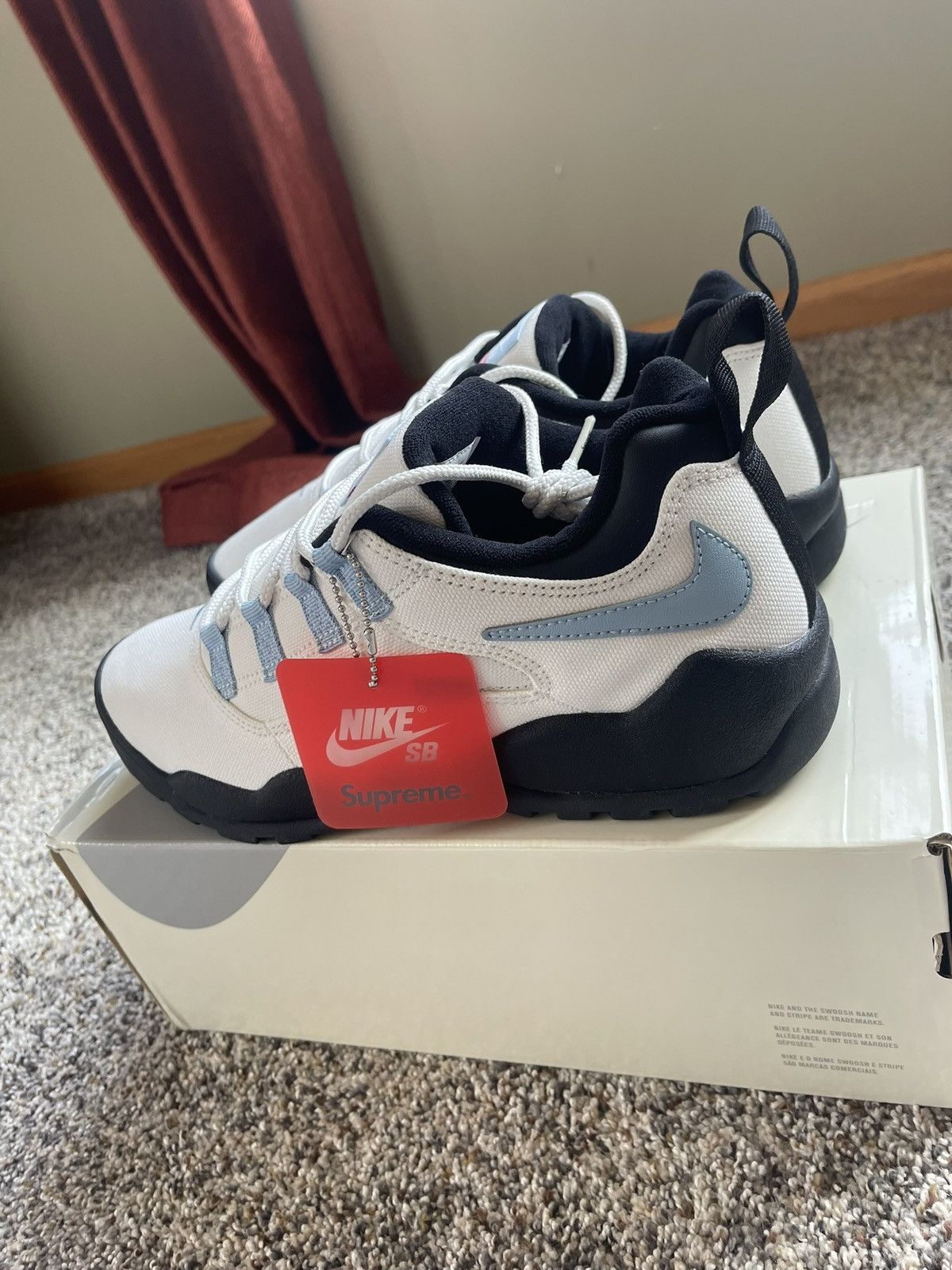 Nike × Supreme Nike sb supreme Darwin low Size US 11 / EU 44 - 6 Thumbnail