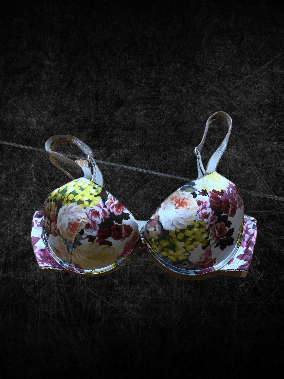 VINTAGE Dolce & Gabbana floral-print Bra