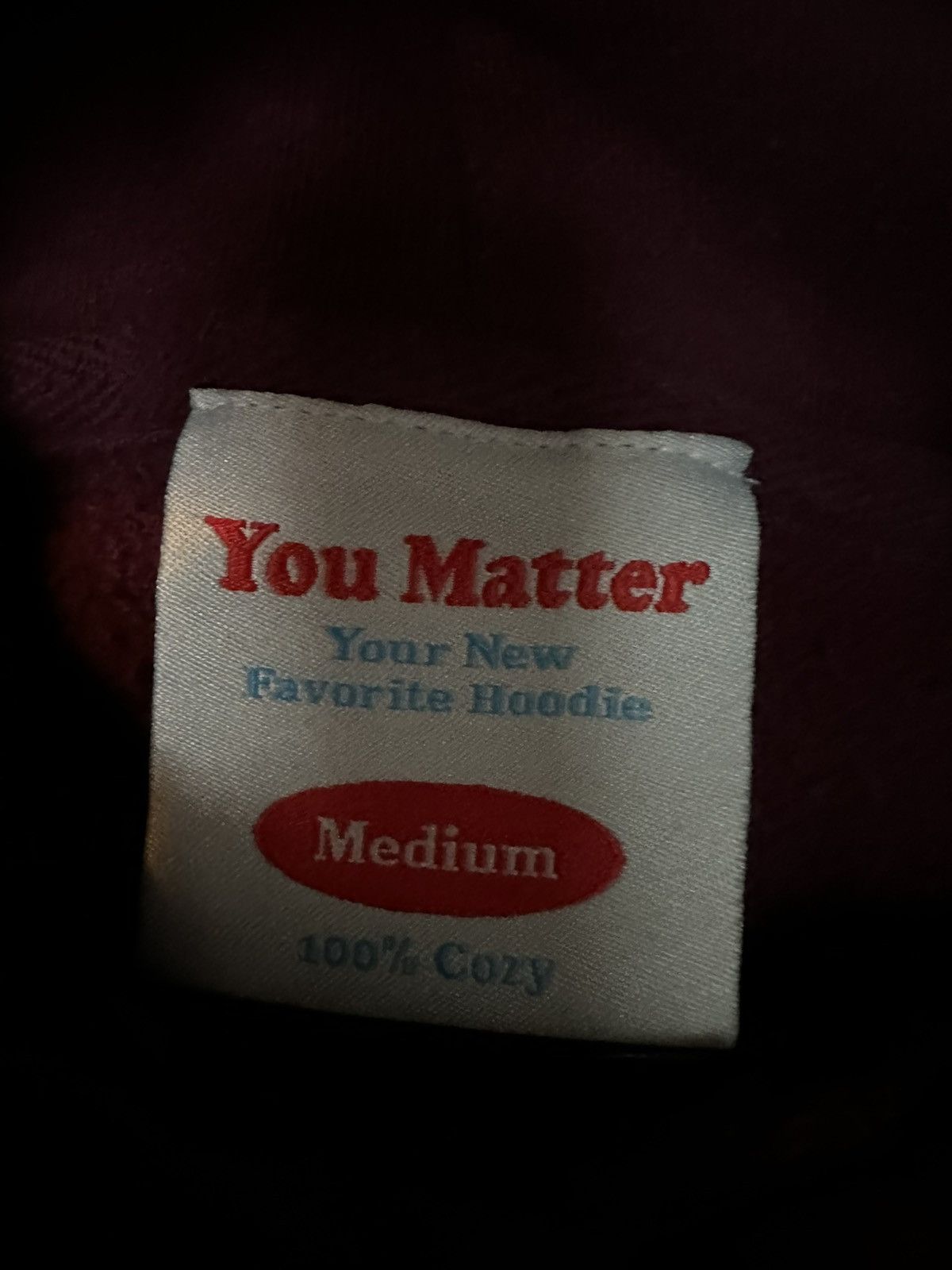 You Matter by Demetrius Harmon Maroon You Matter Hoodie Size US M / EU 48-50 / 2 - 3 Thumbnail