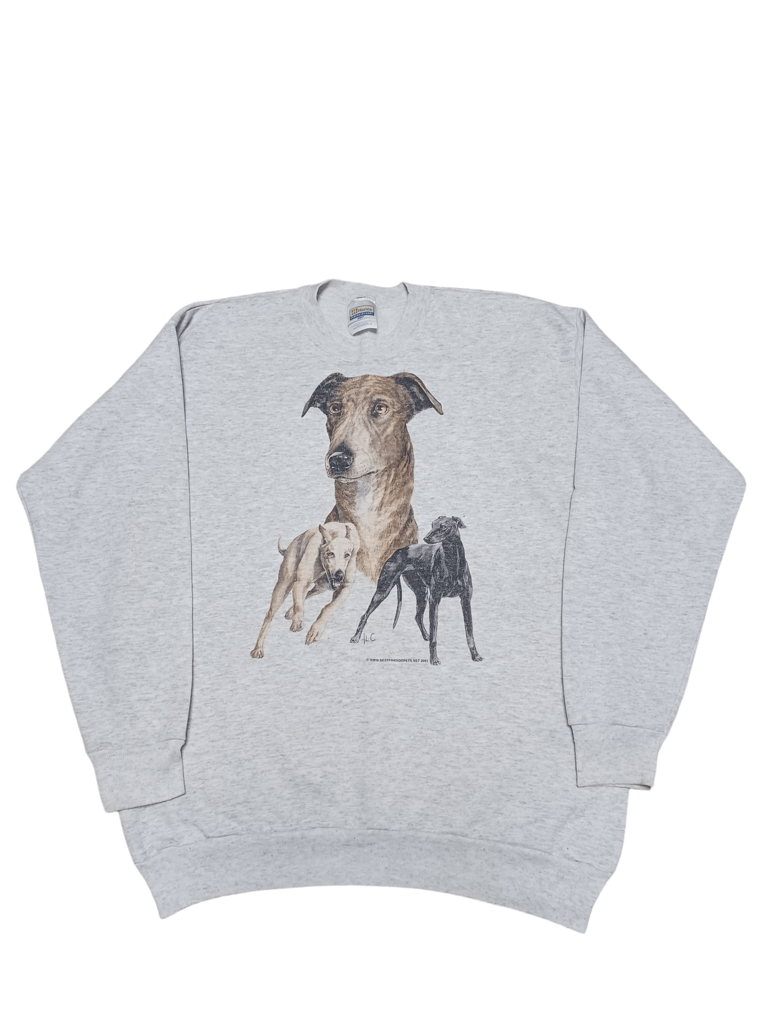 Hanes 2001 VINTAGE HANES CRAZY THREE DOGS SWEATSHIRT ANIMAL MEXICO Size US M / EU 48-50 / 2 - 1 Thumbnail
