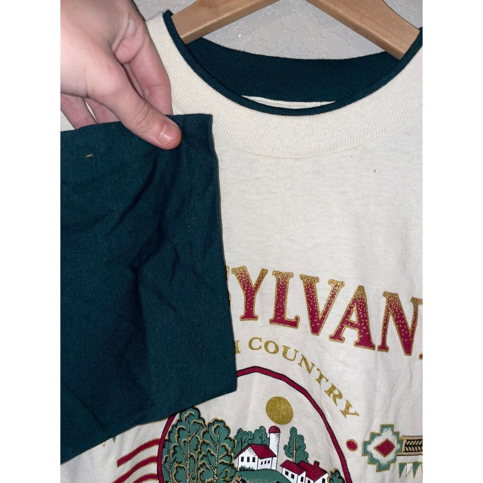 Vintage Vintage Test Print Shirt Pennsylvania Amish Country 90s L Size US L / EU 52-54 / 3 - 7 Thumbnail