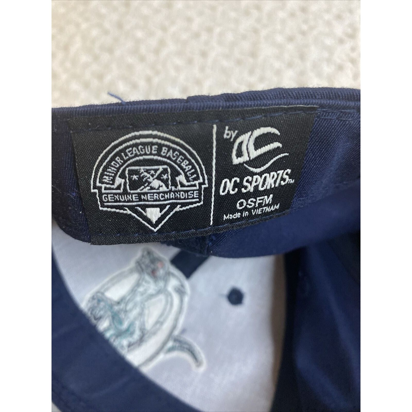 (di)vision Ogden Raptors Hat StrapBack Blue OC Minor Baseball MILB Utah Size ONE SIZE - 6 Thumbnail