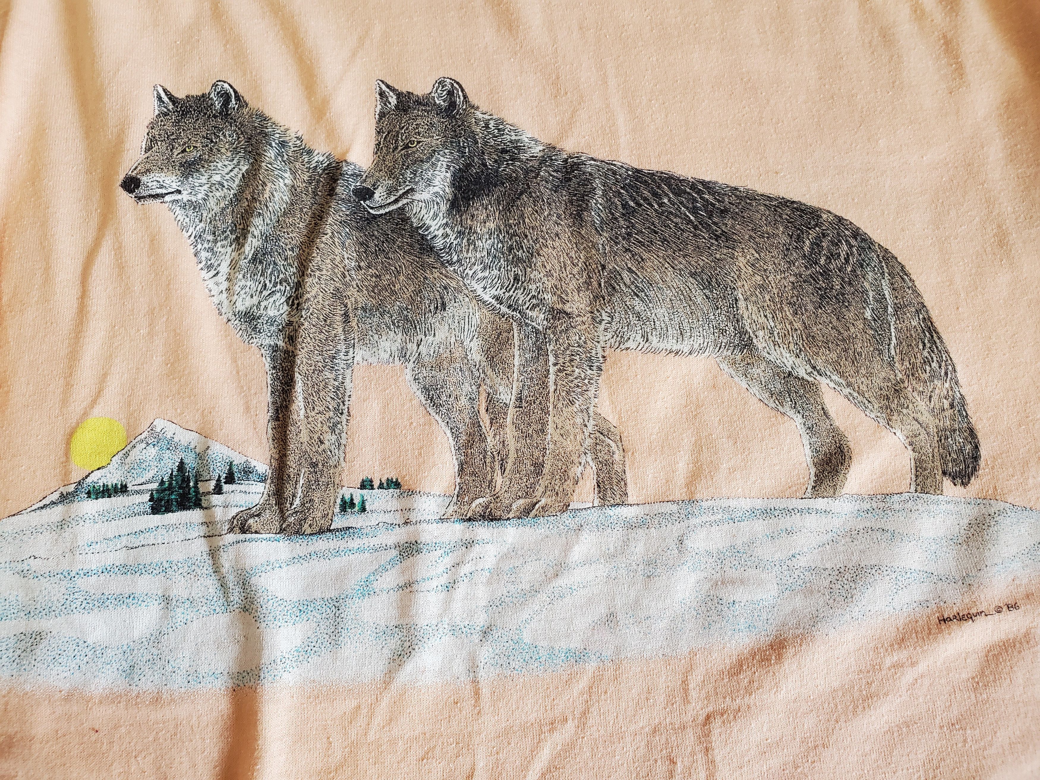 Vintage San Francisco zoo wolves vintage 1985 Size US M / EU 48-50 / 2 - 6 Thumbnail