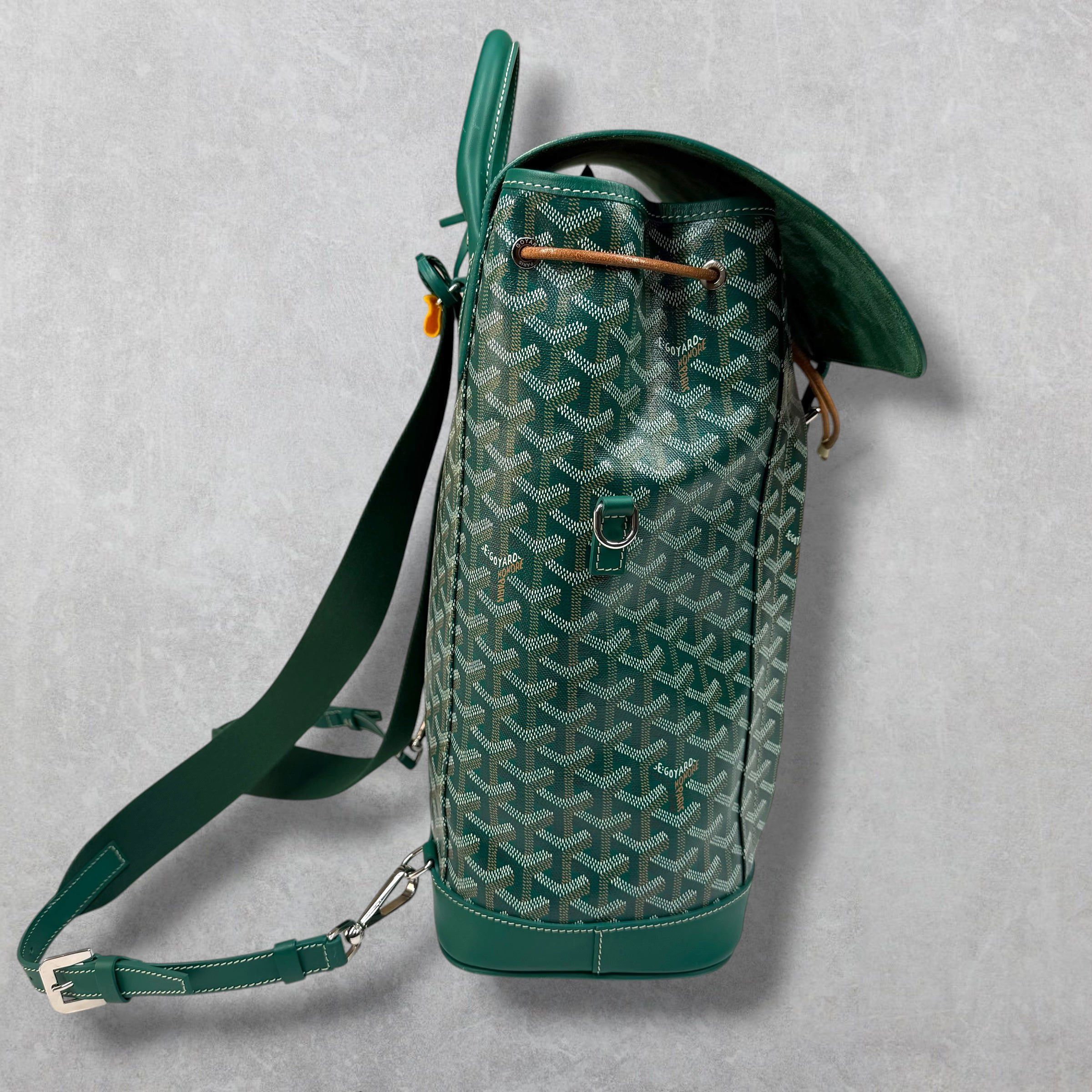 Goyard Goyard Green Alpin Backpack Size ONE SIZE - 5 Thumbnail