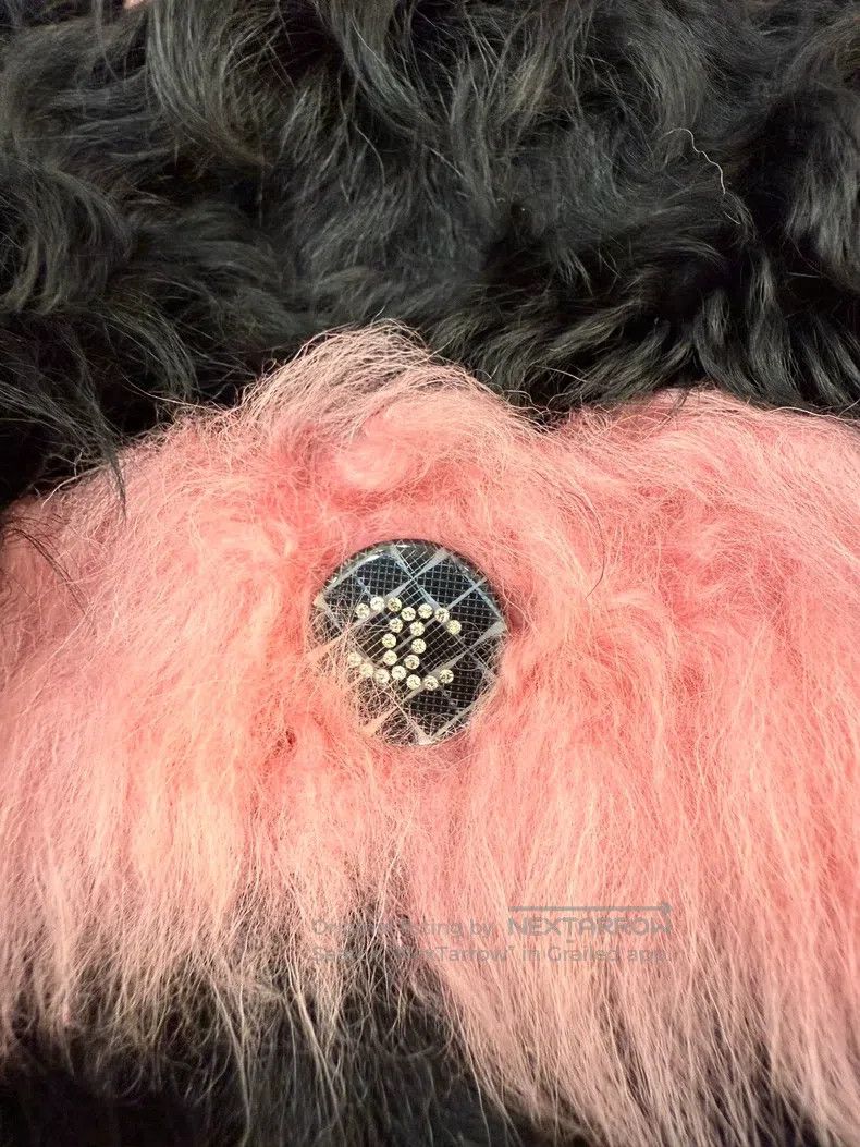 Chanel Chanel 21k black and pink colour-blocked fur Size XS / US 0-2 / IT 36-38 - 4 Thumbnail