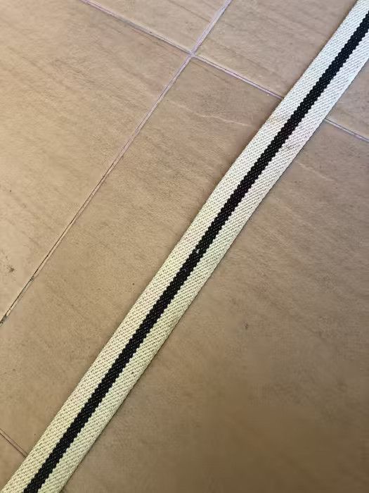 Dickies Dickeis Canvas Buckle Belt Size ONE SIZE - 6 Thumbnail