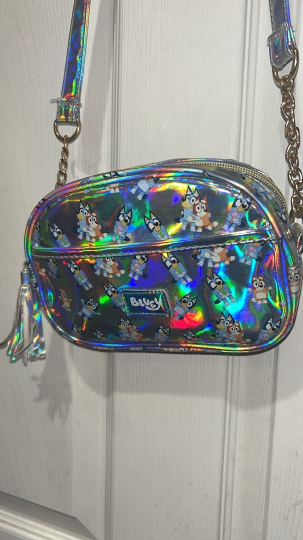 The Unbranded Brand bluey Crossbody Bag One Size Silver Bluey Holographic Size ONE SIZE - 2 Thumbnail