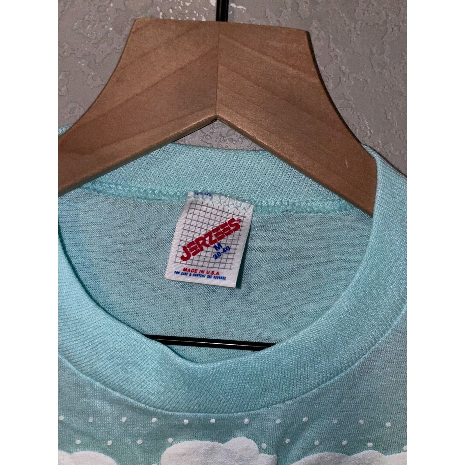 Jerzees Vintage Pennsylvania Blue Shirt Bear Nature Blue Tee 80s M Size US M / EU 48-50 / 2 - 8 Thumbnail