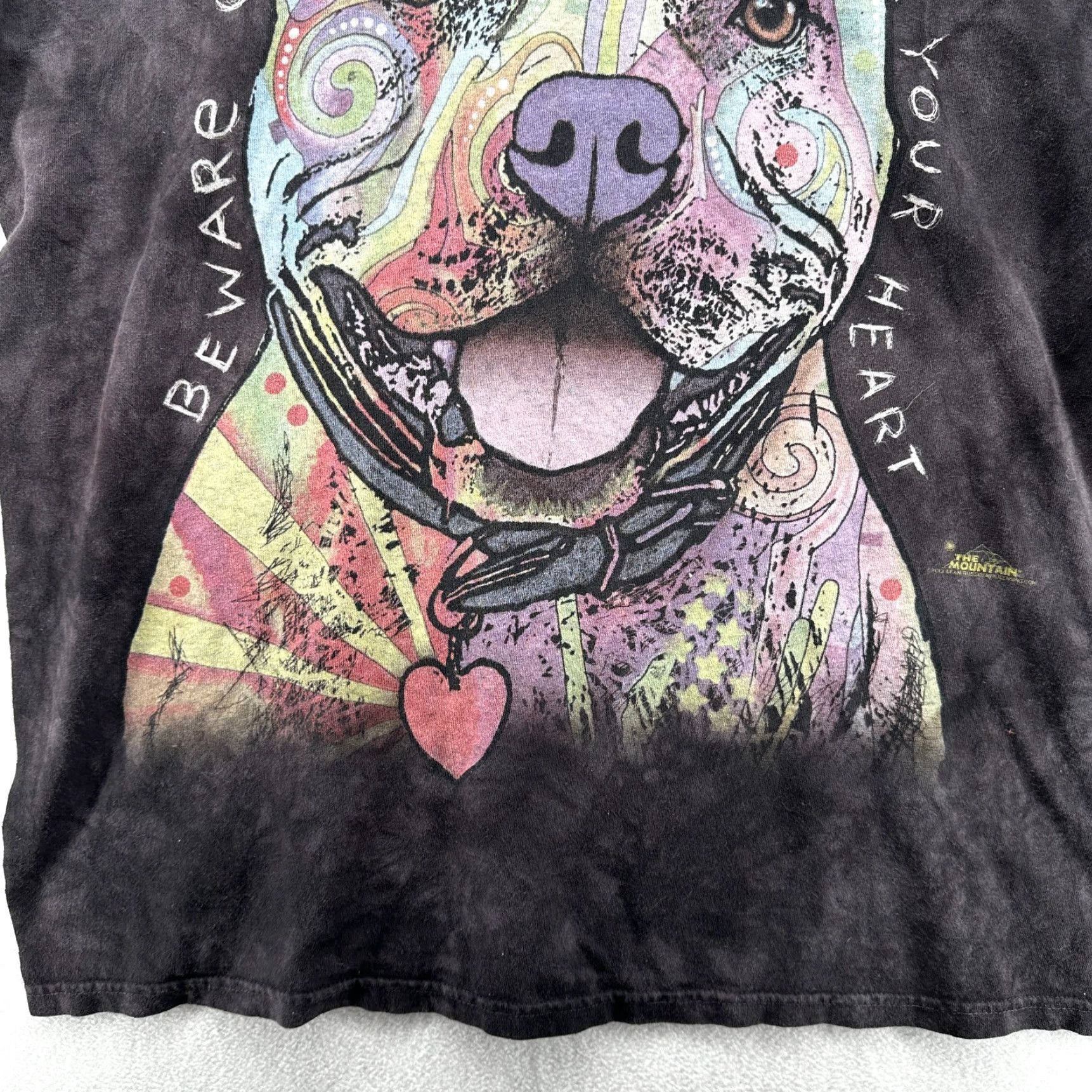 The Mountain The Mountain T-Shirt Black Men's XL Pitbull Dog Lover Graphics Crew Neck Short Sleeve Easy Care Cotton Graphic Print Modern Fit Boys? No. Size US XL / EU 56 / 4 - 5 Thumbnail