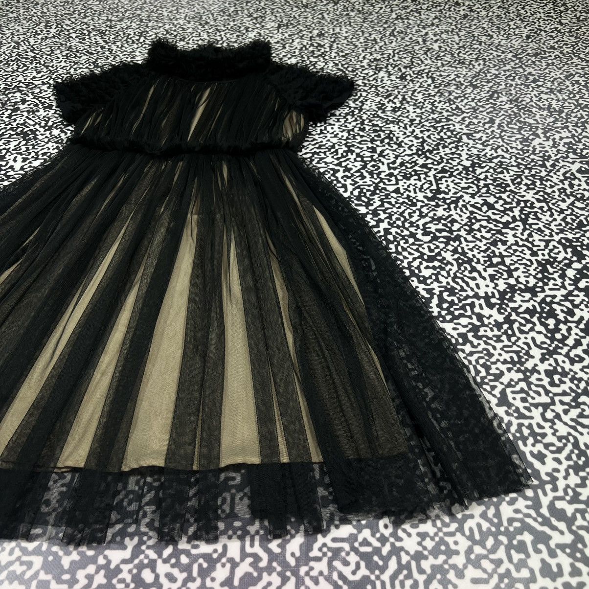 Dolce & Gabbana Dolce Gabbana Silk Sheer Tulle Dress Nude Lining Luxury Rare Size S / US 4 / IT 40 - 6 Thumbnail