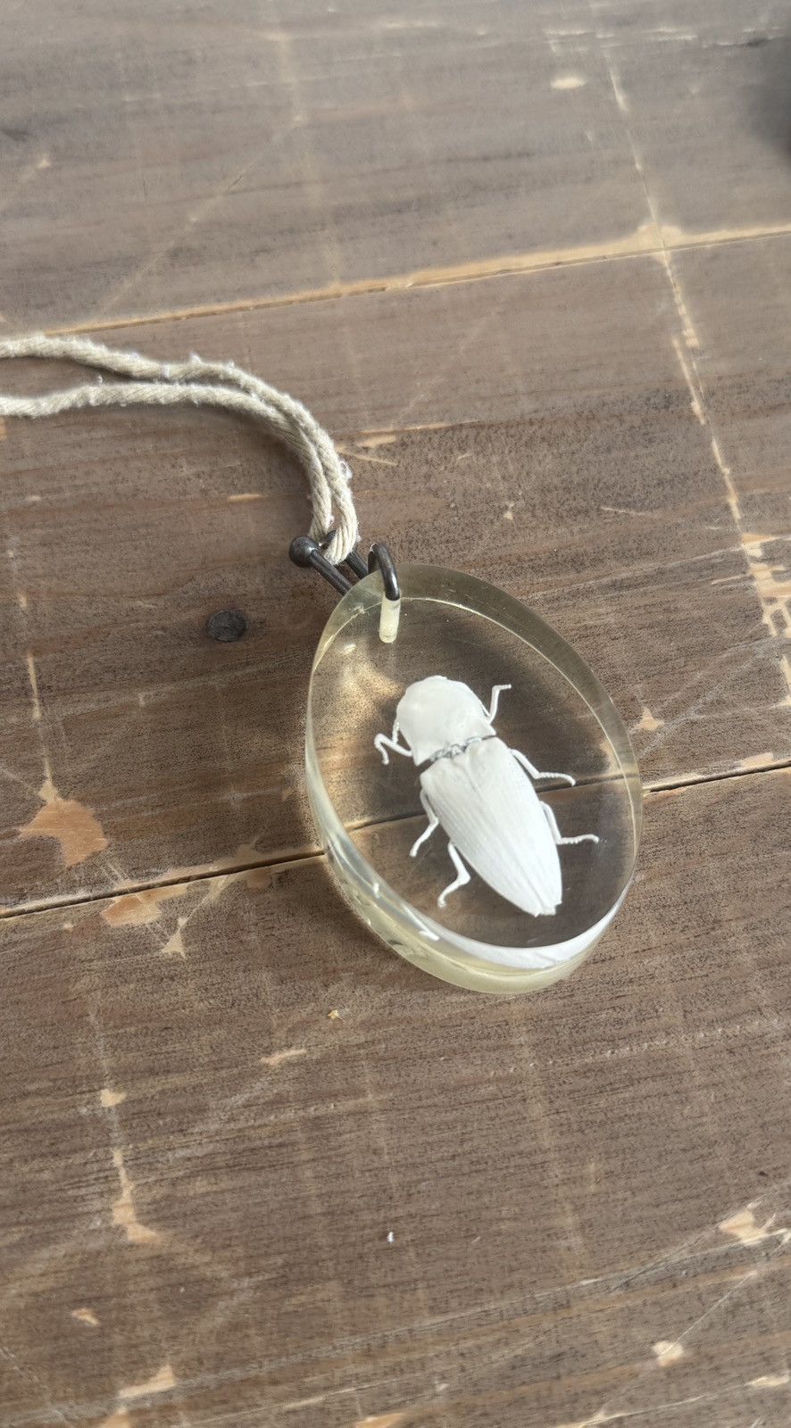 Maison Margiela Artisanal Rare Margiela Resin Beetle Necklace Size ONE SIZE - 1 Thumbnail