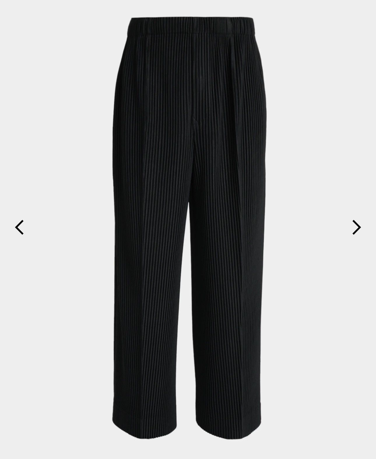 Homme Plisse Issey Miyake Men's Monthly Colors Pleated Wide-Leg Trousers Size US 32 / EU 48 - 1 Thumbnail