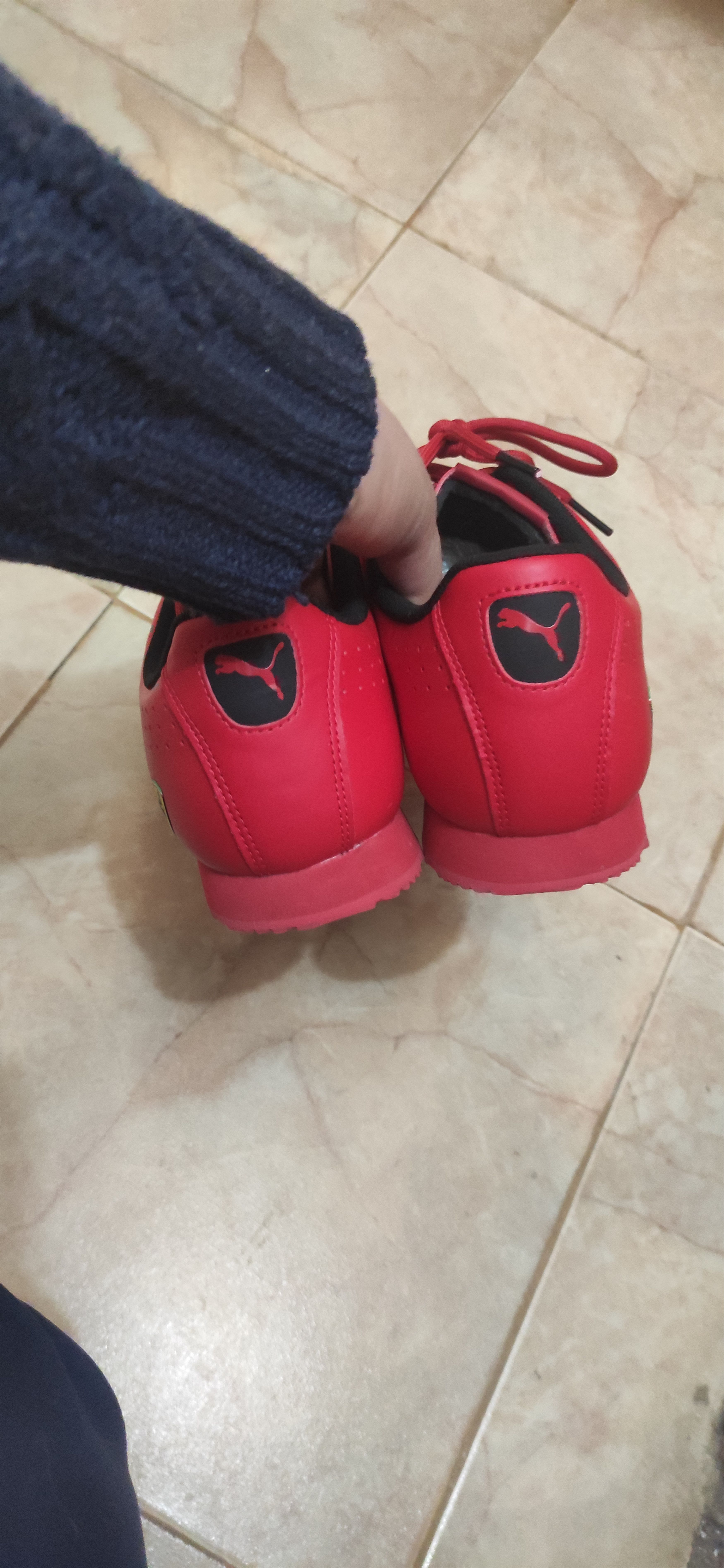 Ferrari The men's sneakers Ferrari Puma Size US 10 / EU 43 - 5 Thumbnail