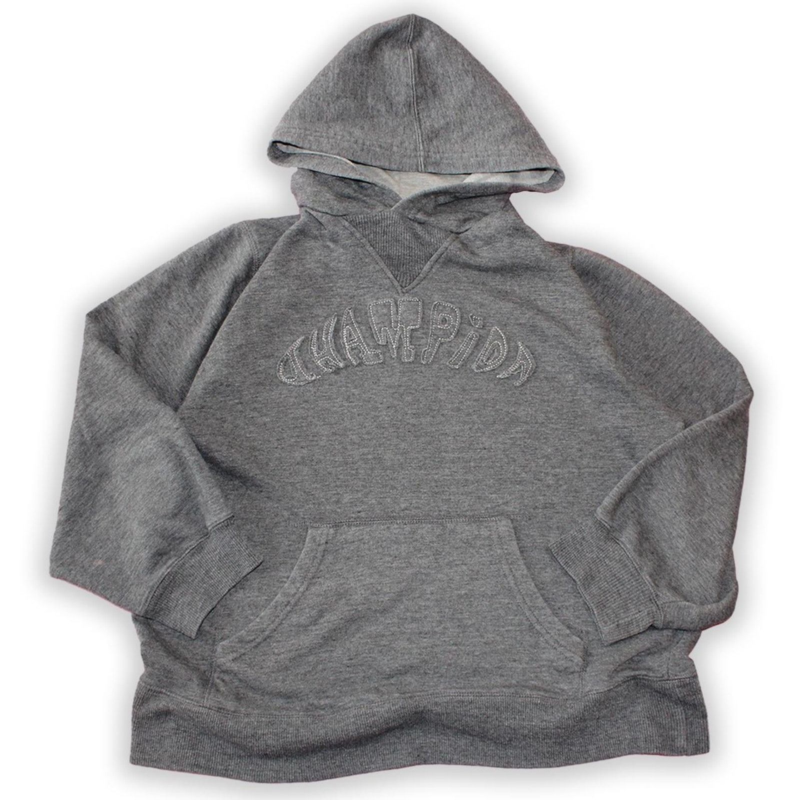 Champion Gray Y2K Champion Hoodie Size S / US 4 / IT 40 - 1 Thumbnail