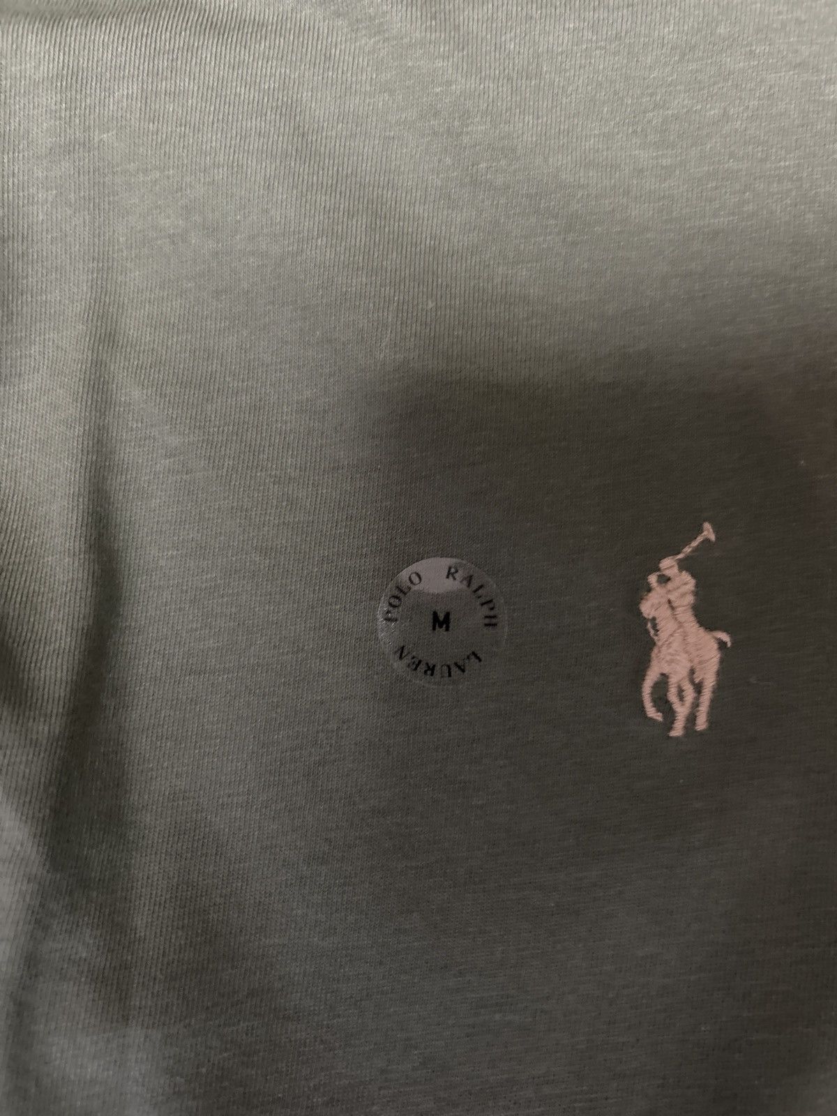 Polo Ralph Lauren Polo hoodie Size US M / EU 48-50 / 2 - 3 Thumbnail