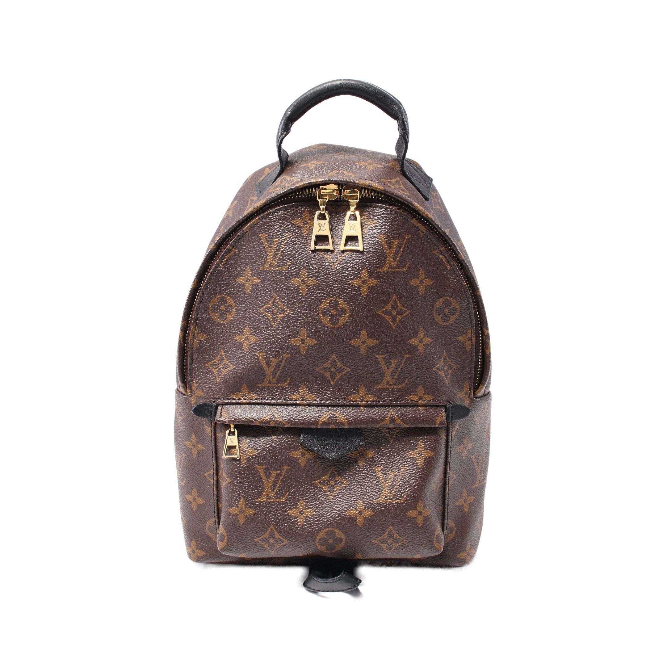 Louis Vuitton Louis Vuitton Palm Springs Pm Monogram Backpack Rucksack Leather Brown Black Size ONE SIZE - 1 Thumbnail