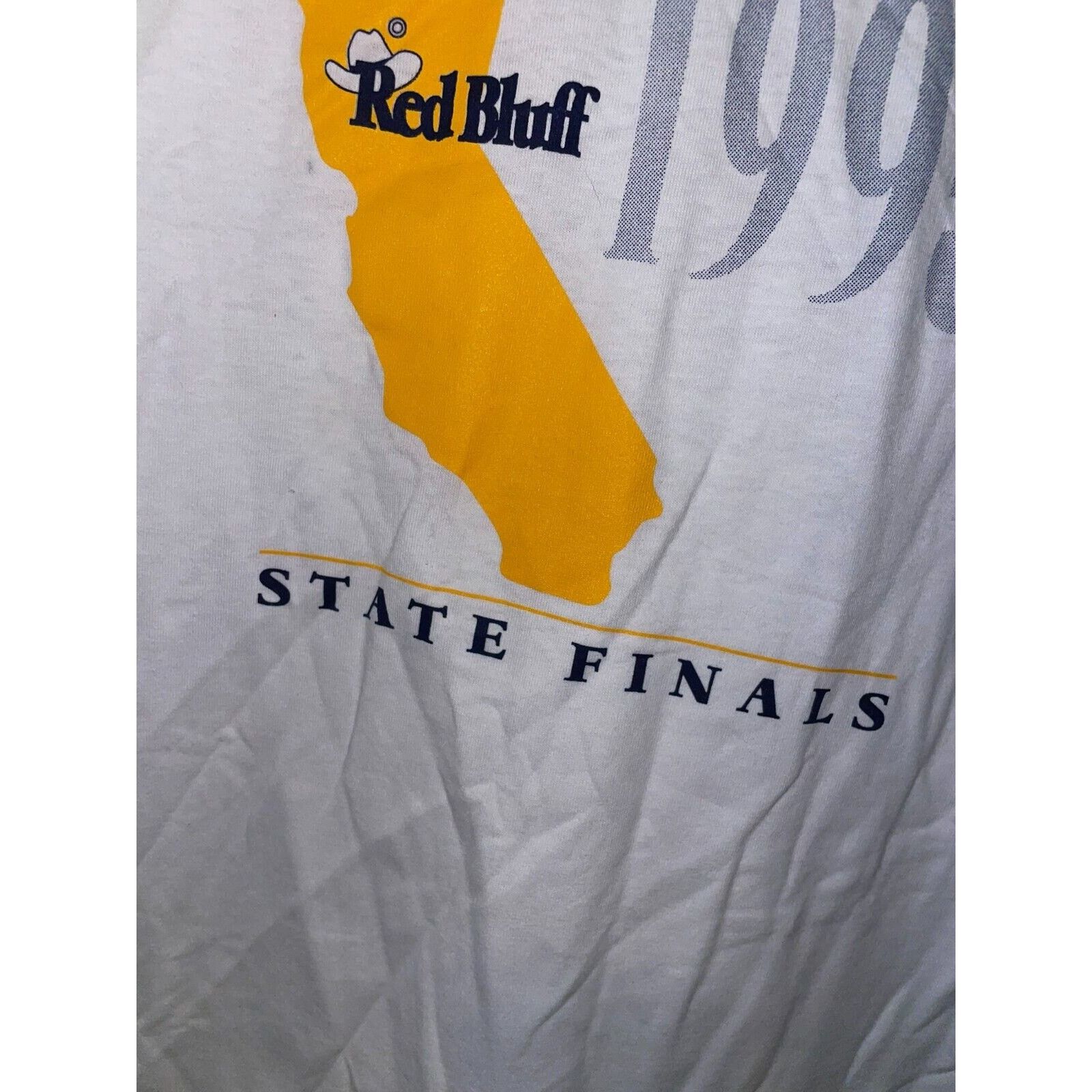 Jerzees Vintage Rodeo Shirt California Assc State Finals Tee 1995 Size US L / EU 52-54 / 3 - 5 Thumbnail