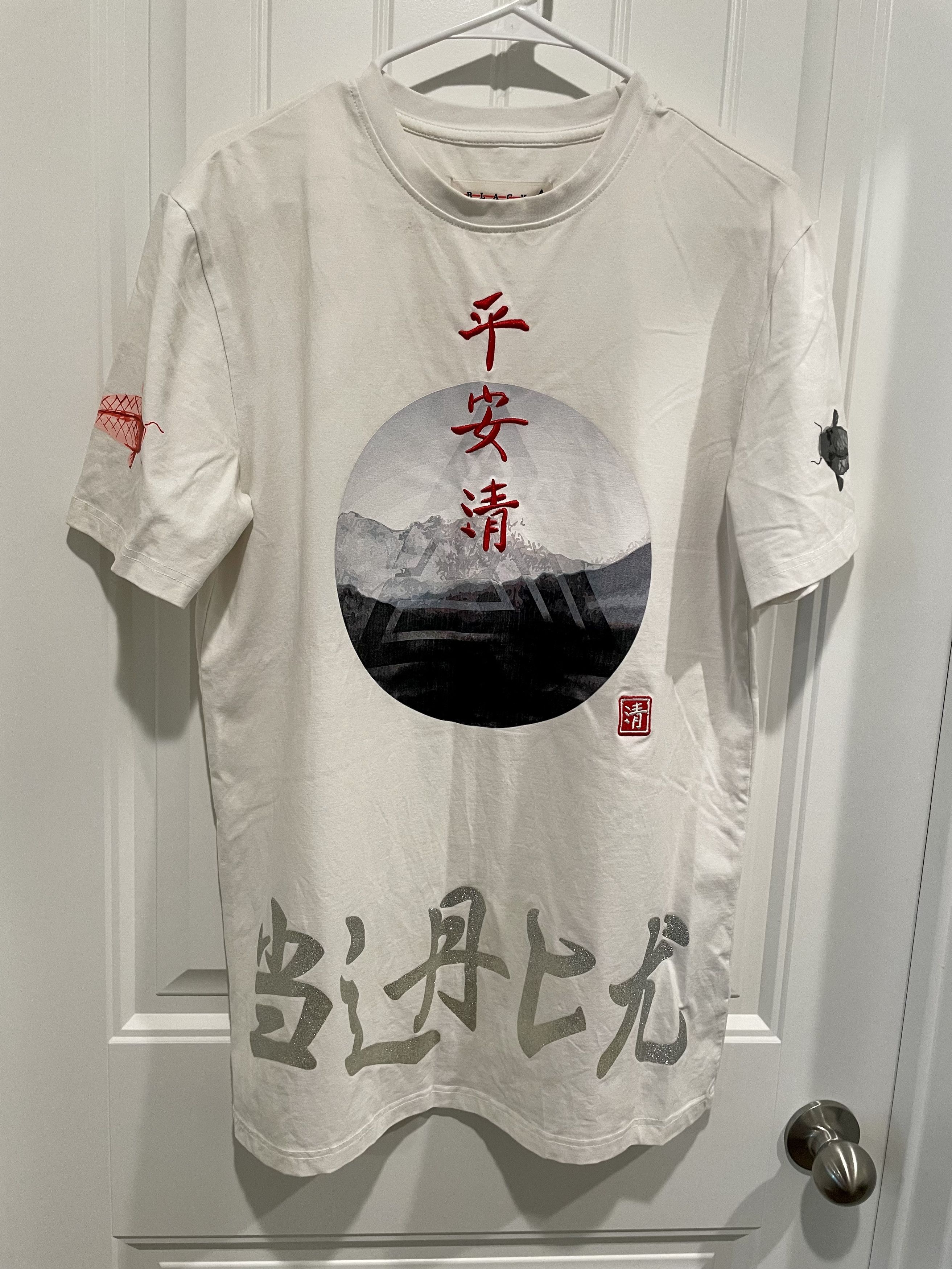 ストア black pyramid t シャツ