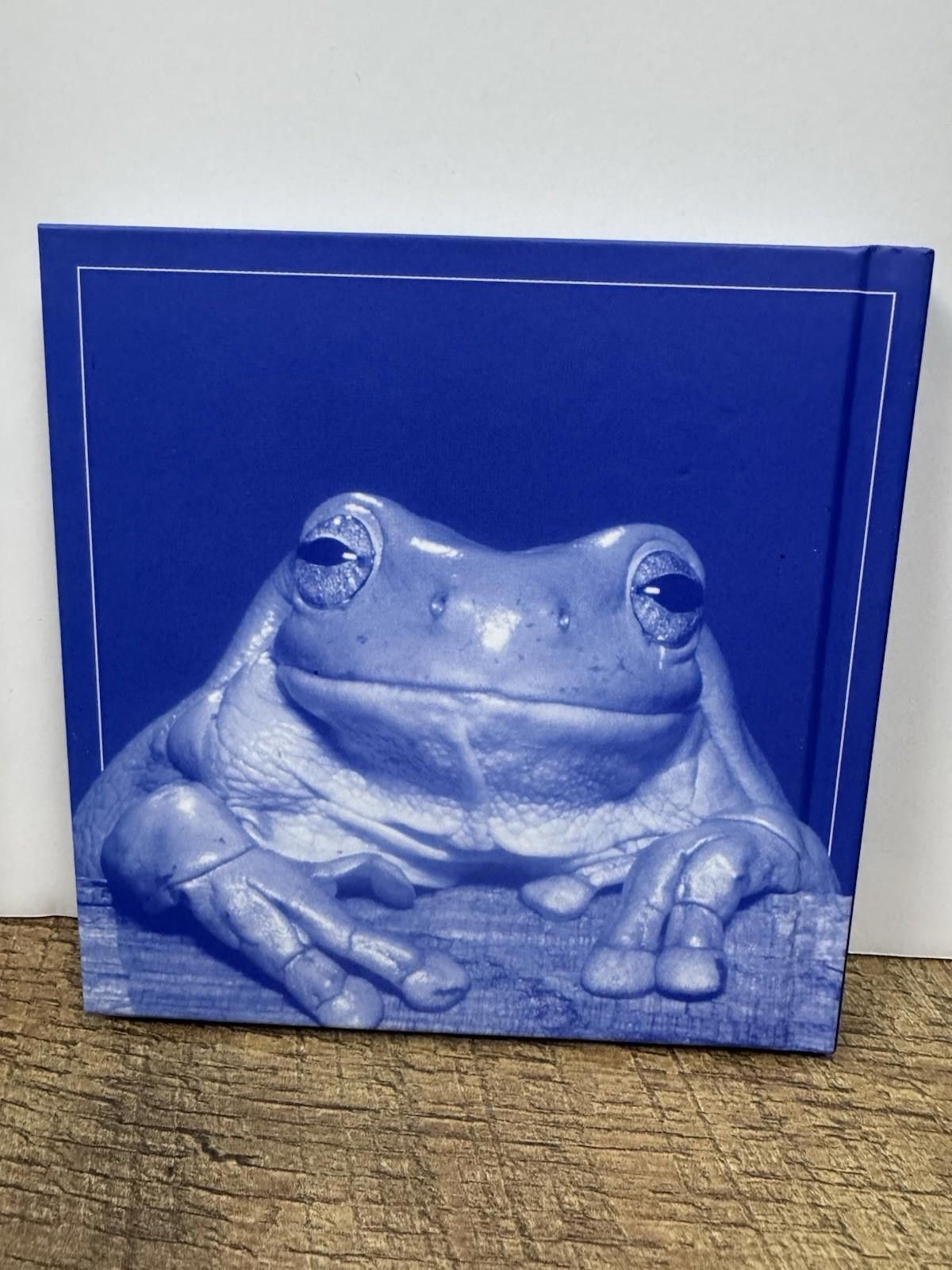 Other The Blue Day Book : A Lesson in Cheering Yourself Up Size ONE SIZE - 2 Thumbnail