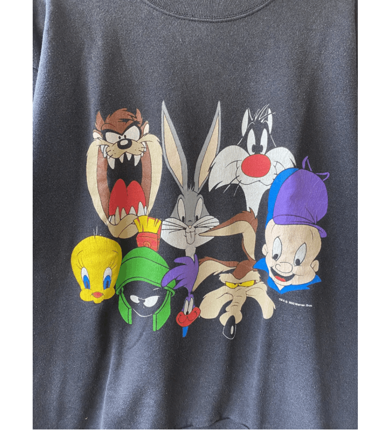 Vintage VINTAGE 1993 WARNER BROS CARTOON SWEATSHIRT Size US L / EU 52-54 / 3 - 3 Thumbnail