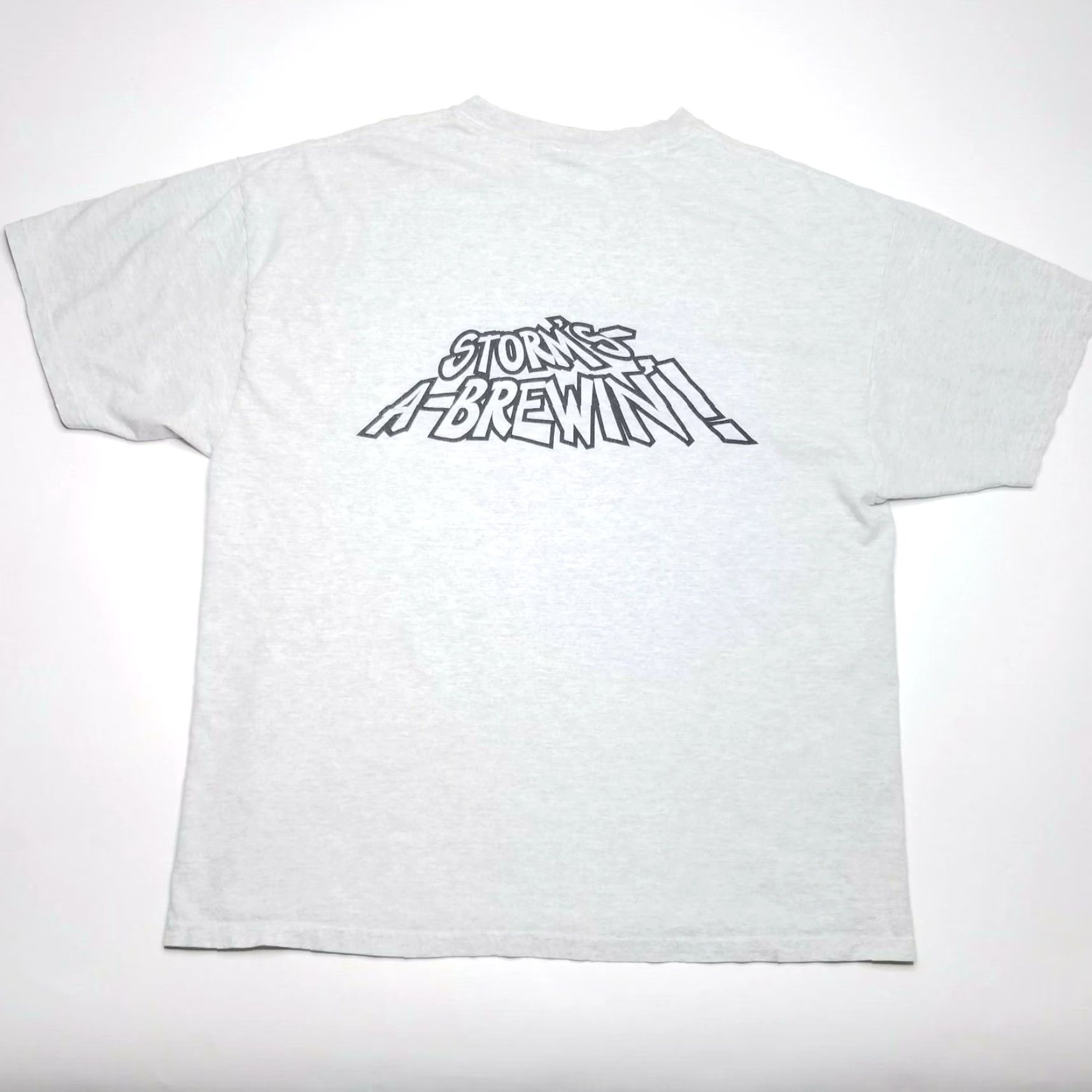 Hanes Hanes Thunderhead Storm T-Shirt Gray Short Sleeve Adult XL Crew Neck Men’s Size XL Graphic Tee, 90s/Concert/Accessories Size US XL / EU 56 / 4 - 3 Thumbnail