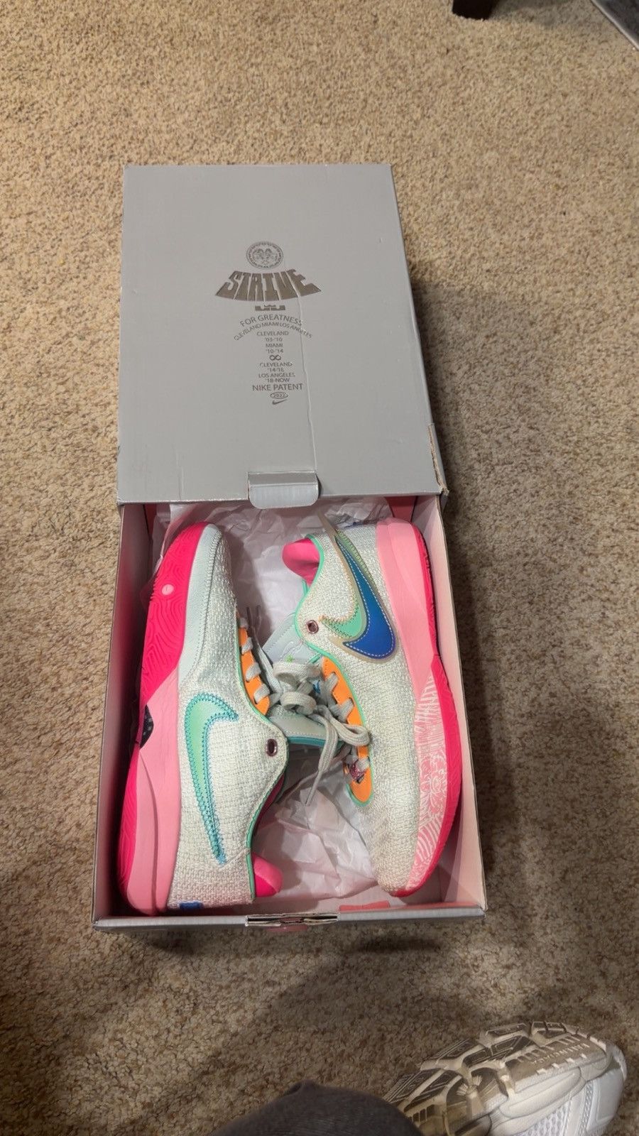 Other Lebron 20 Time Machine EP Size US 8 / EU 41 - 1 Thumbnail
