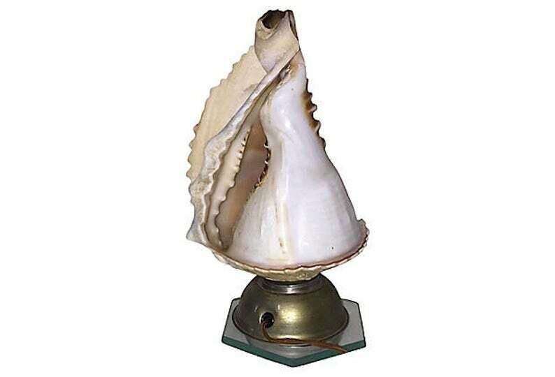 Designer Napoli Conch Souvenir Lamp Size ONE SIZE - 4 Thumbnail
