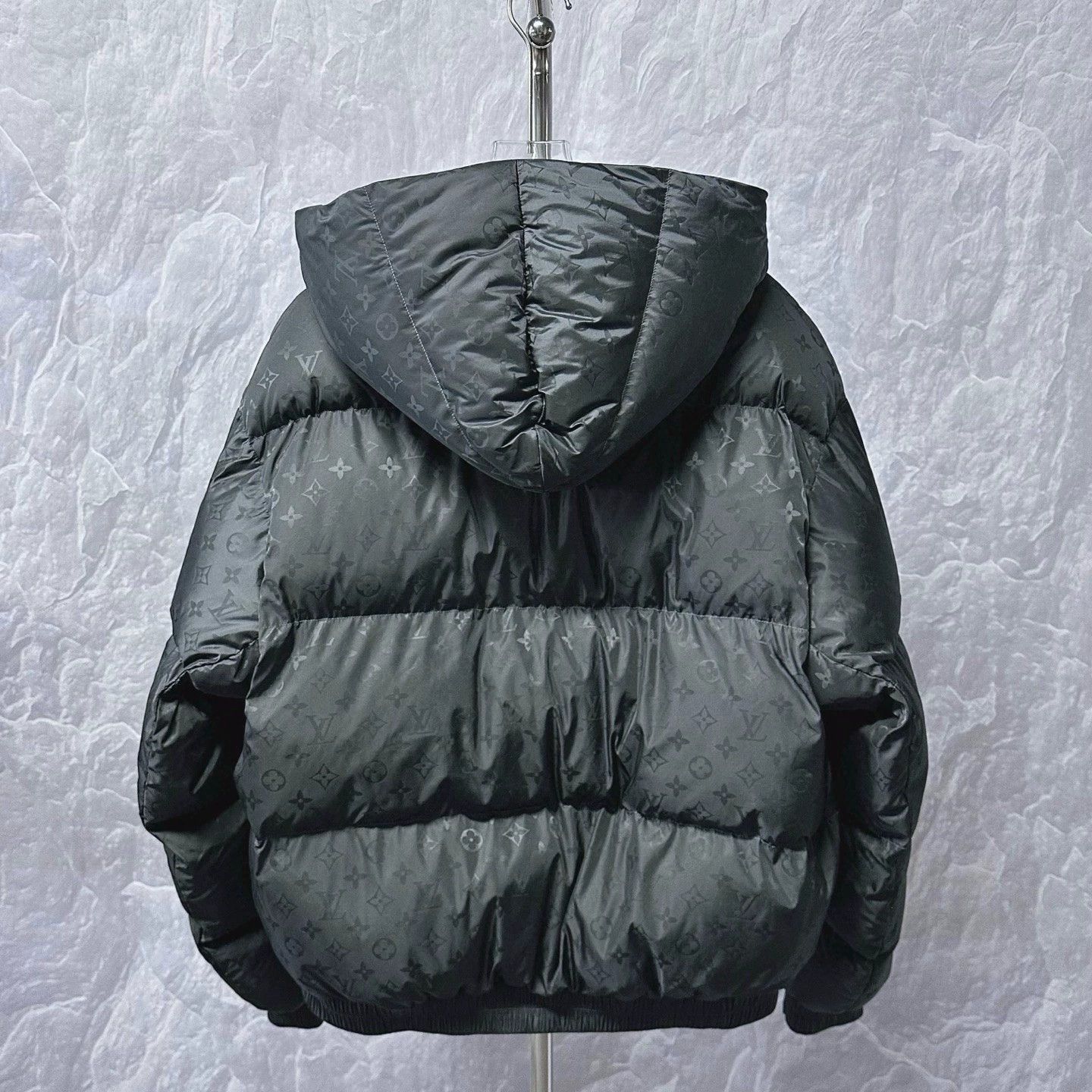 Louis Vuitton louis vuitton ss25 ski printed hooded jacket Size US L / EU 52-54 / 3 - 4 Thumbnail