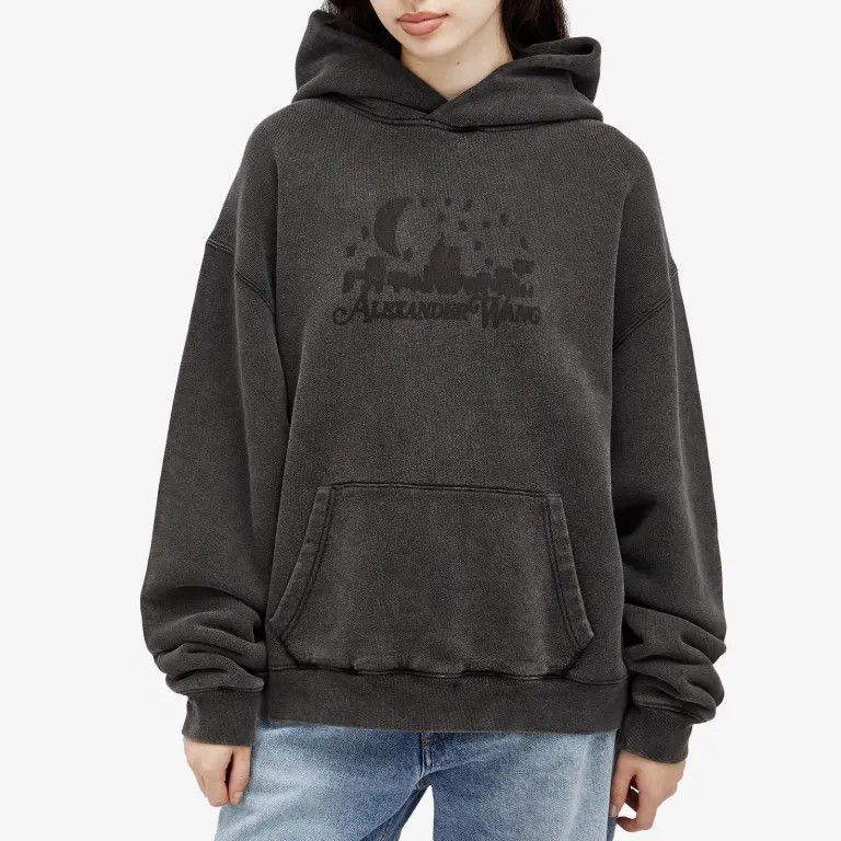 Alexander Wang o1s22i1n0225 Vintage Skyline Hoodie in Grey Size S / US 4 / IT 40 - 2 Thumbnail