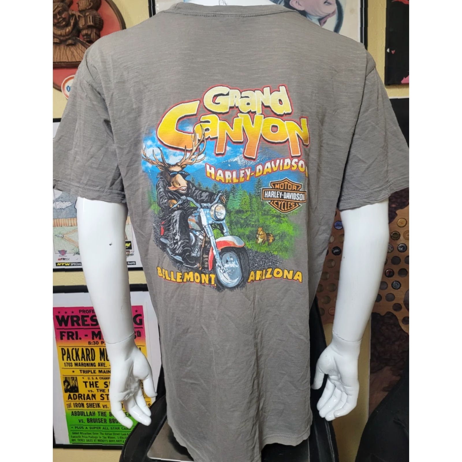Harley Davidson Harley-Davidson T-Shirt Men Large Gray Cotton Blend Crew Neck Short Sleeve Graphic Tee Biker Motorcycle Grand Canyon Bellemont AZ Size US L / EU 52-54 / 3 - 3 Thumbnail