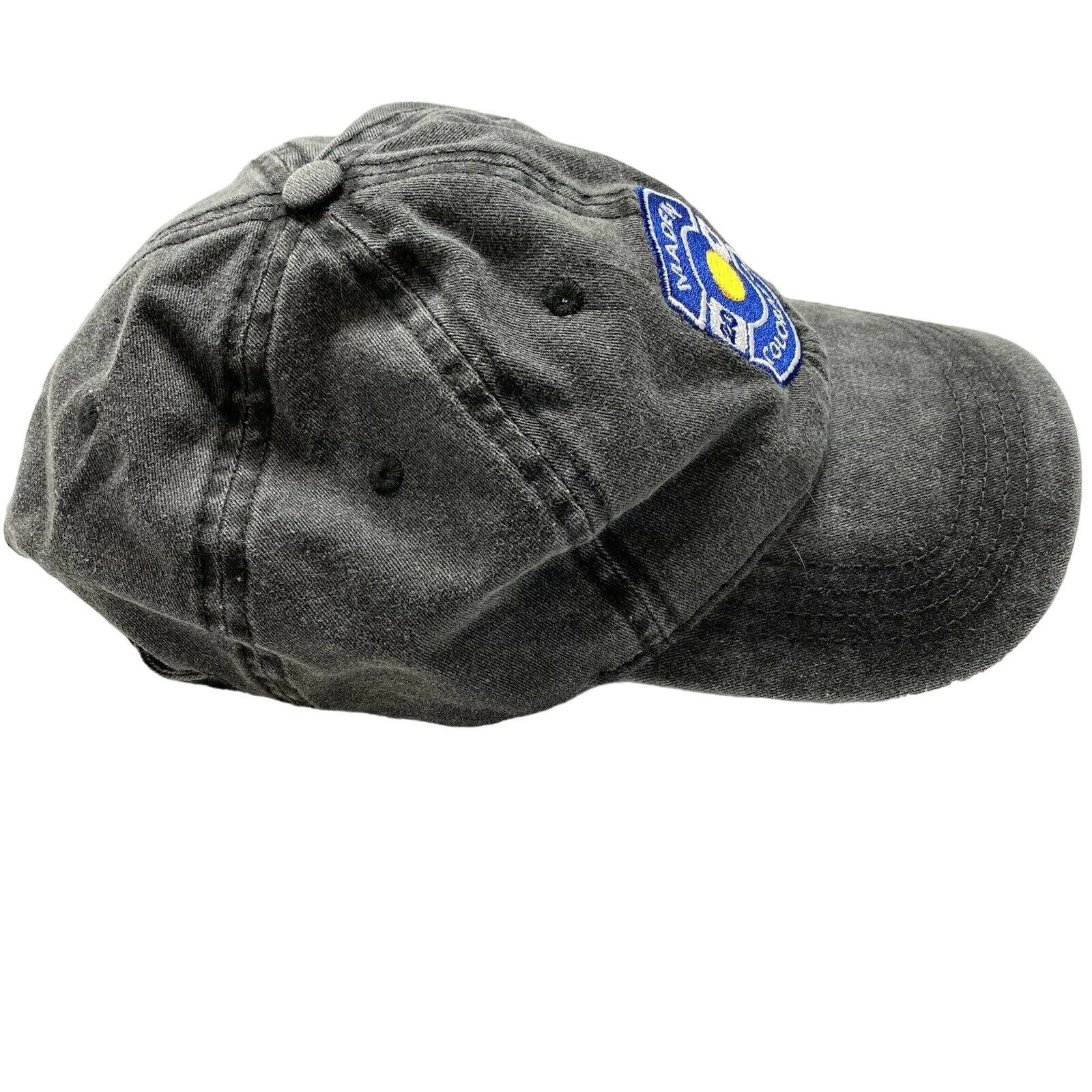 Otto MADE IN COLORADO Gray Dad Hat Cap One Size Adjustable Size ONE SIZE - 2 Thumbnail