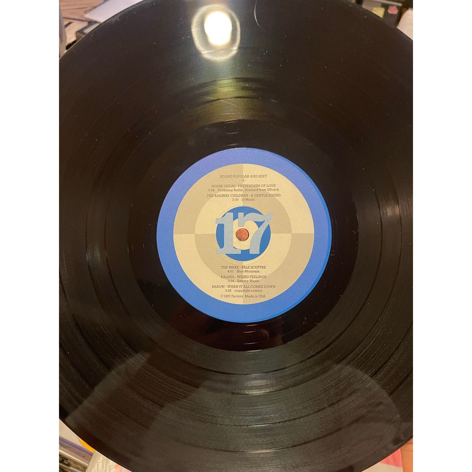INTENTIONALLY BLANK Young Popular And Sexy LP compilation new wave synth indie Size ONE SIZE - 4 Thumbnail