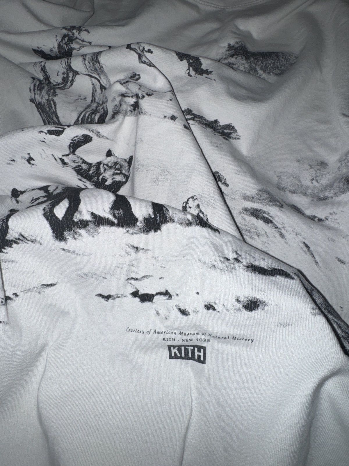 Kith Kith AMNH Wolves vintage tee Size US XXL / EU 58 / 5 - 4 Thumbnail