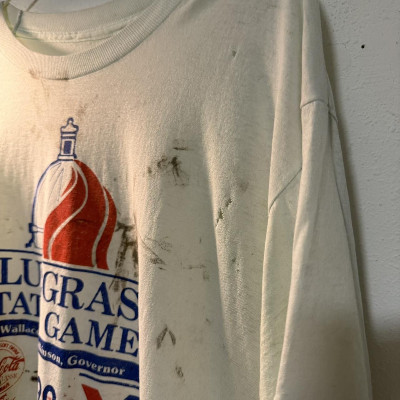 Vintage distressed & thrashed 1990 blue grass single stitch tee Size US M / EU 48-50 / 2 - 5 Thumbnail