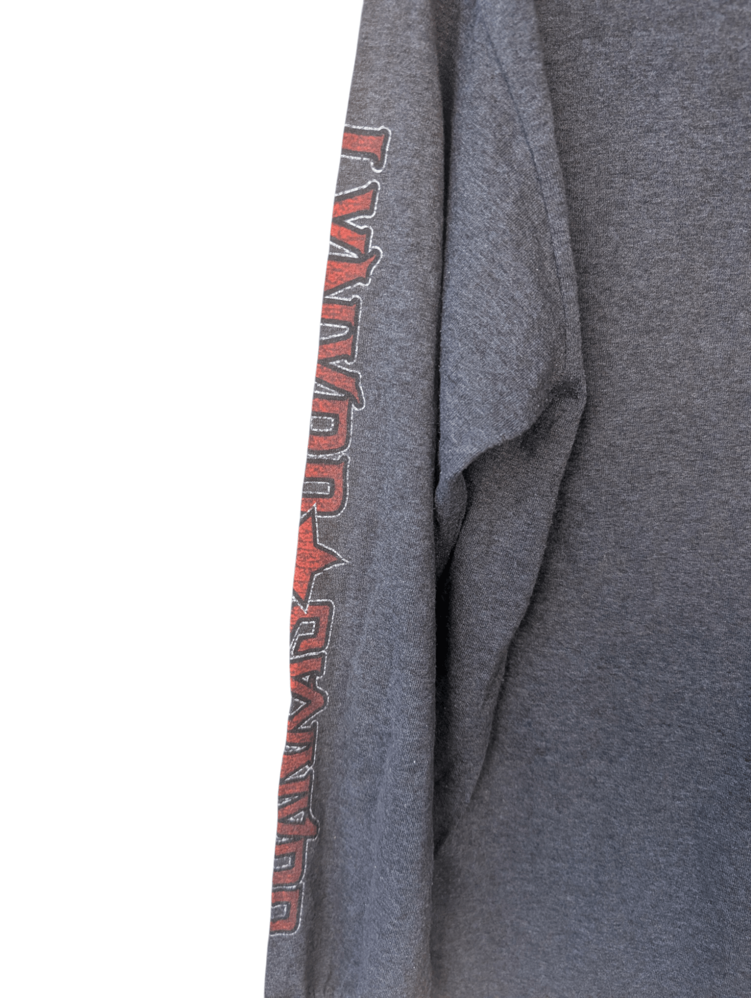 Alstyle Vintage LYNYRD SKYNYRD In Skynyrd We Trust Longsleeve Shirt Size US M / EU 48-50 / 2 - 10 Thumbnail
