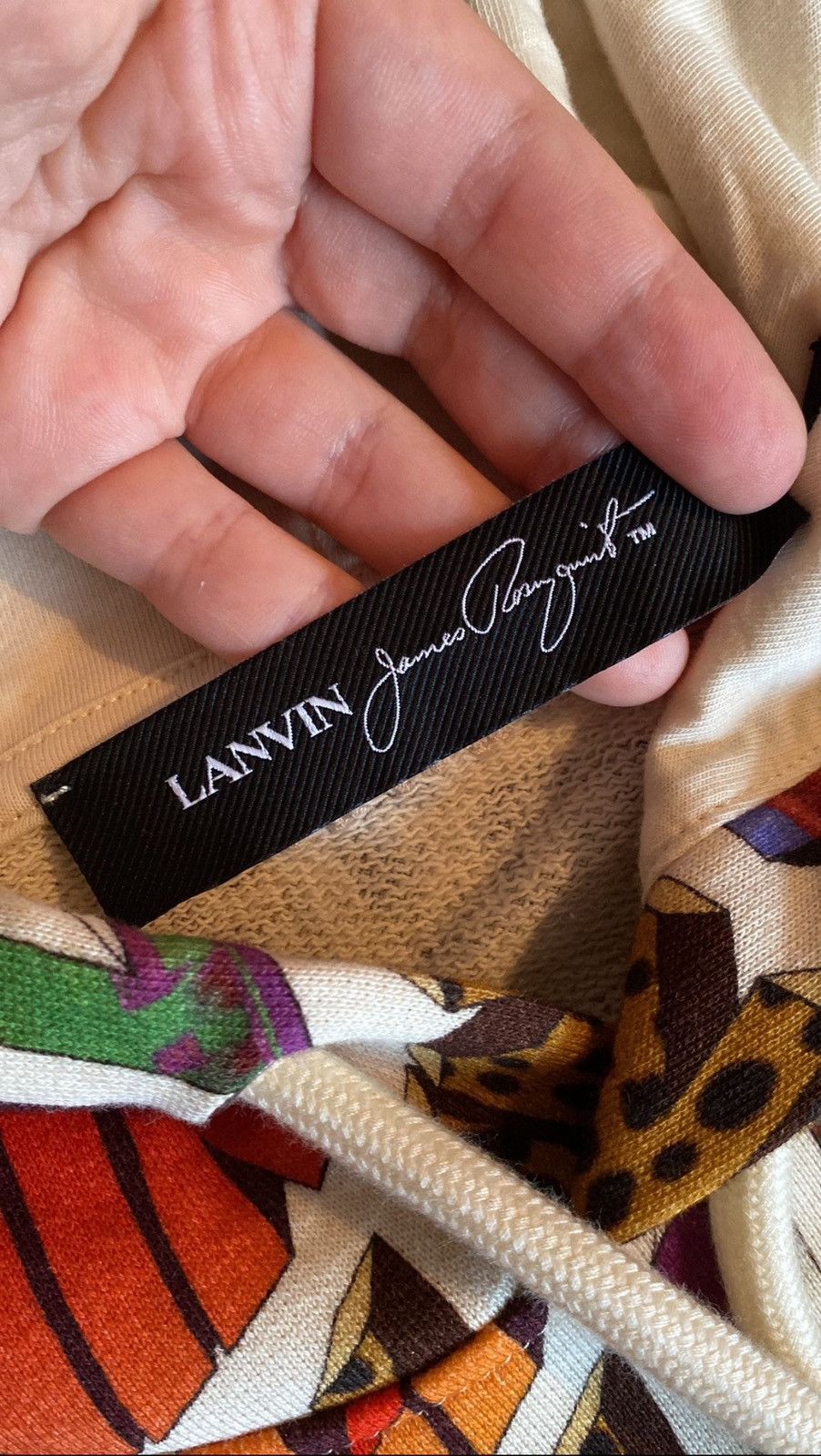 Lanvin Lanvin Multicolor Hoodie *Brand New* Size XL Size US XL / EU 56 / 4 - 6 Thumbnail