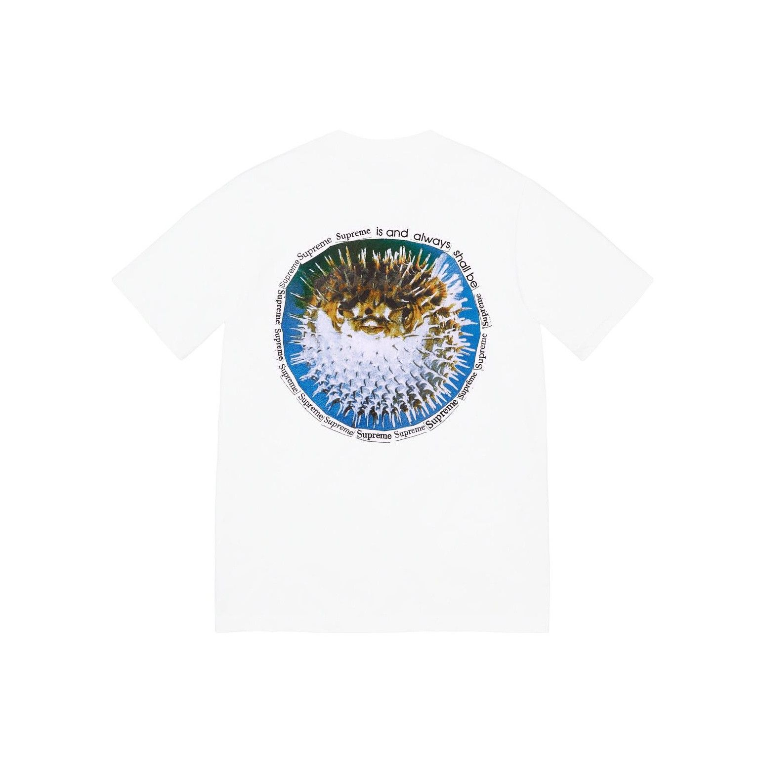 Supreme Supreme Blowfish T-Shirt Size L Size US L / EU 52-54 / 3 - 1 Thumbnail