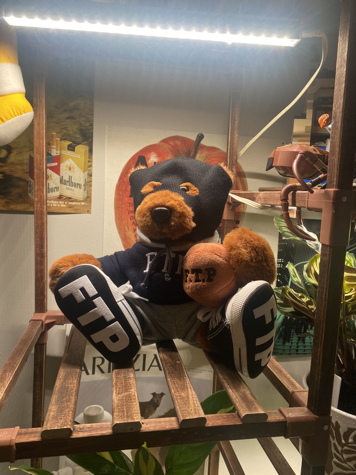 Fuck The Population FTP Bear Size ONE SIZE - 2 Thumbnail