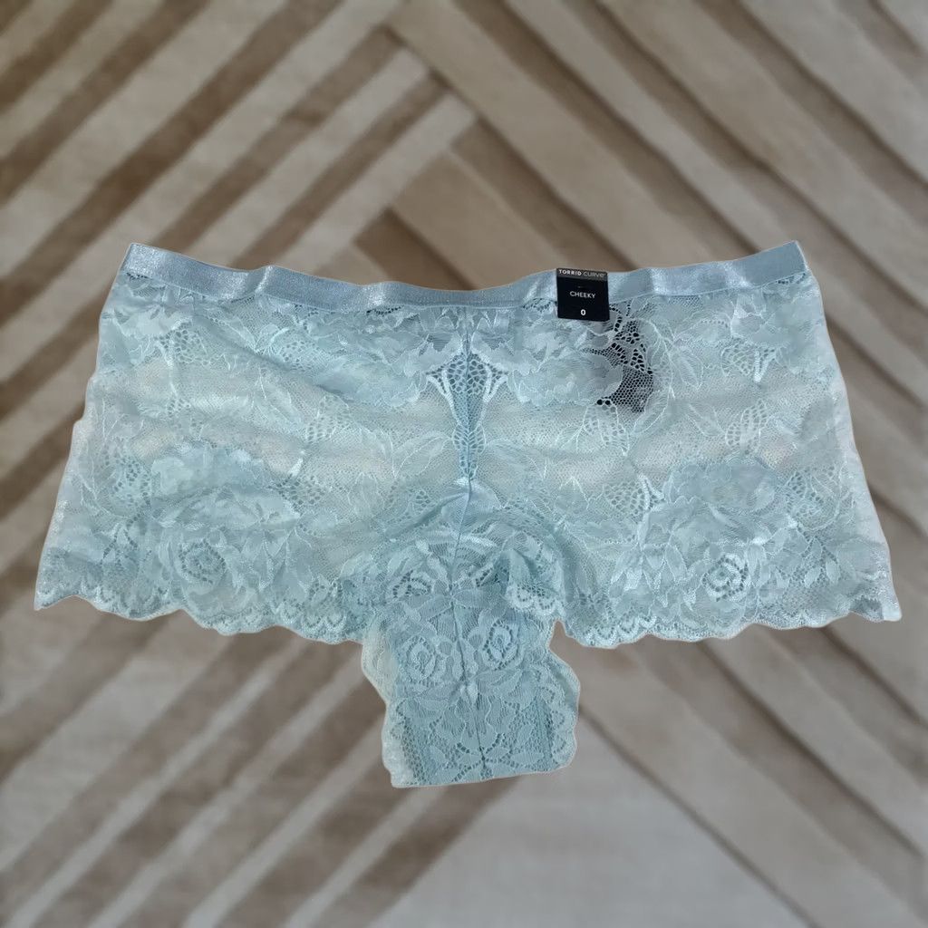 Torrid Torrid Curve Plus Size Cheeky Lace Panties Light Blue Floral Size 25" / US 0 / IT 36 - 1 Thumbnail